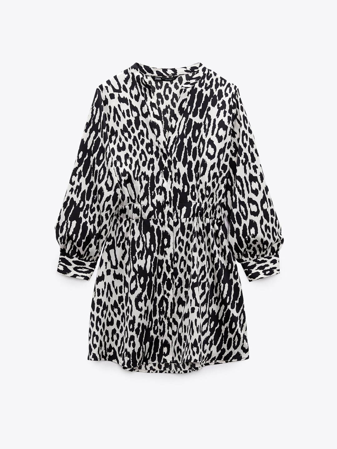 

ZARA Women Multi Dresses