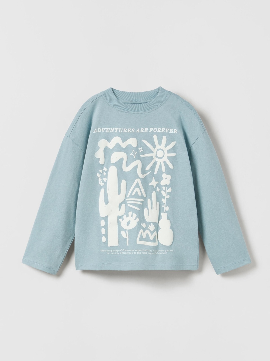 

ZARA Girls Blue Tshirts