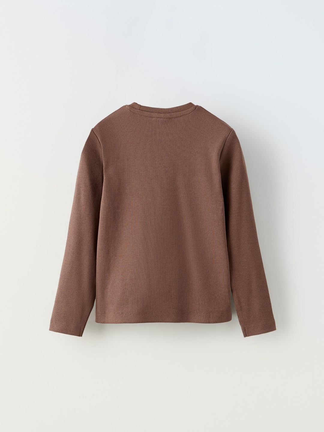 

ZARA Girls Brown Tshirts