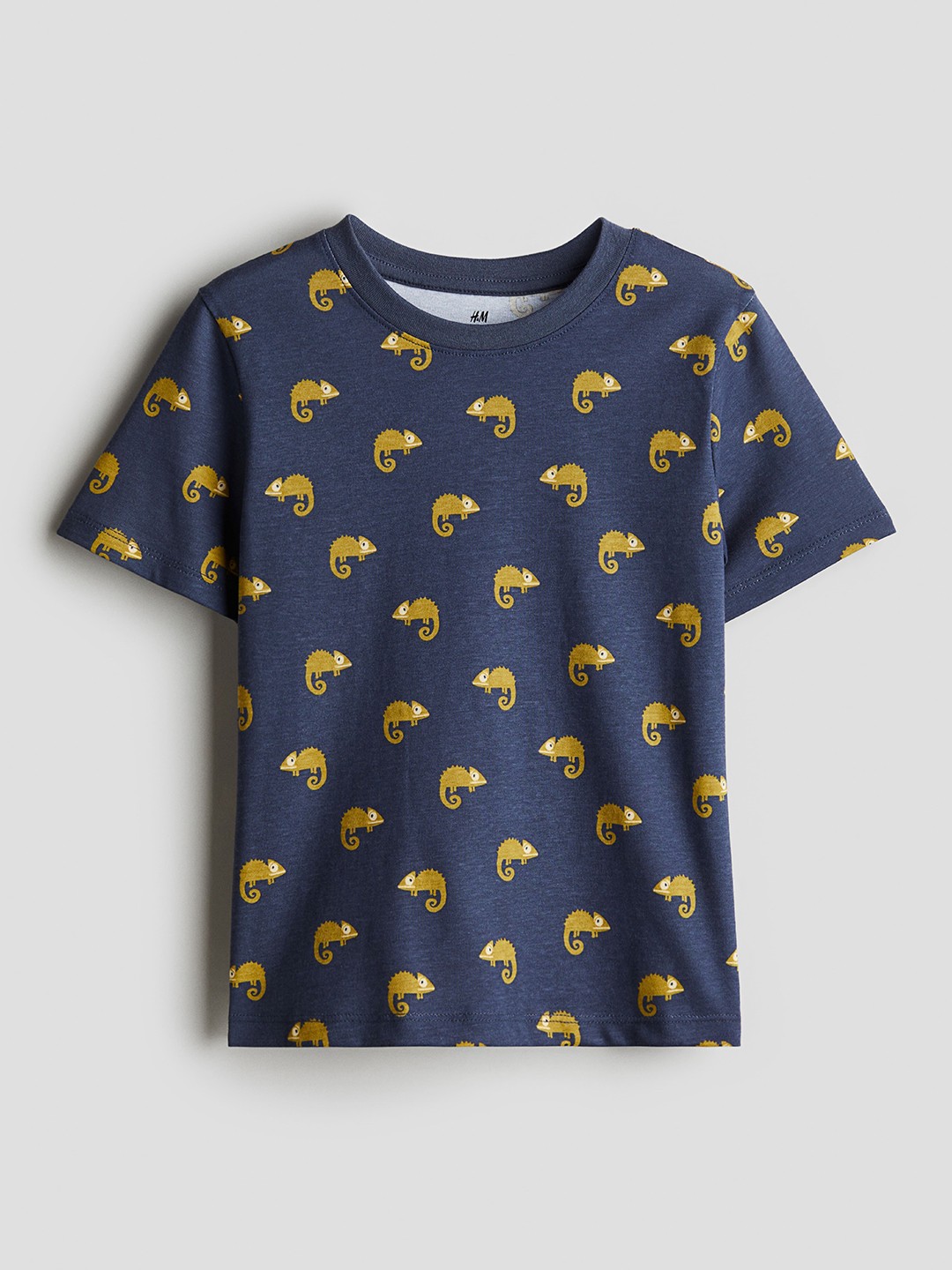 

H&M Boys Clothing T-Shirts, Purple