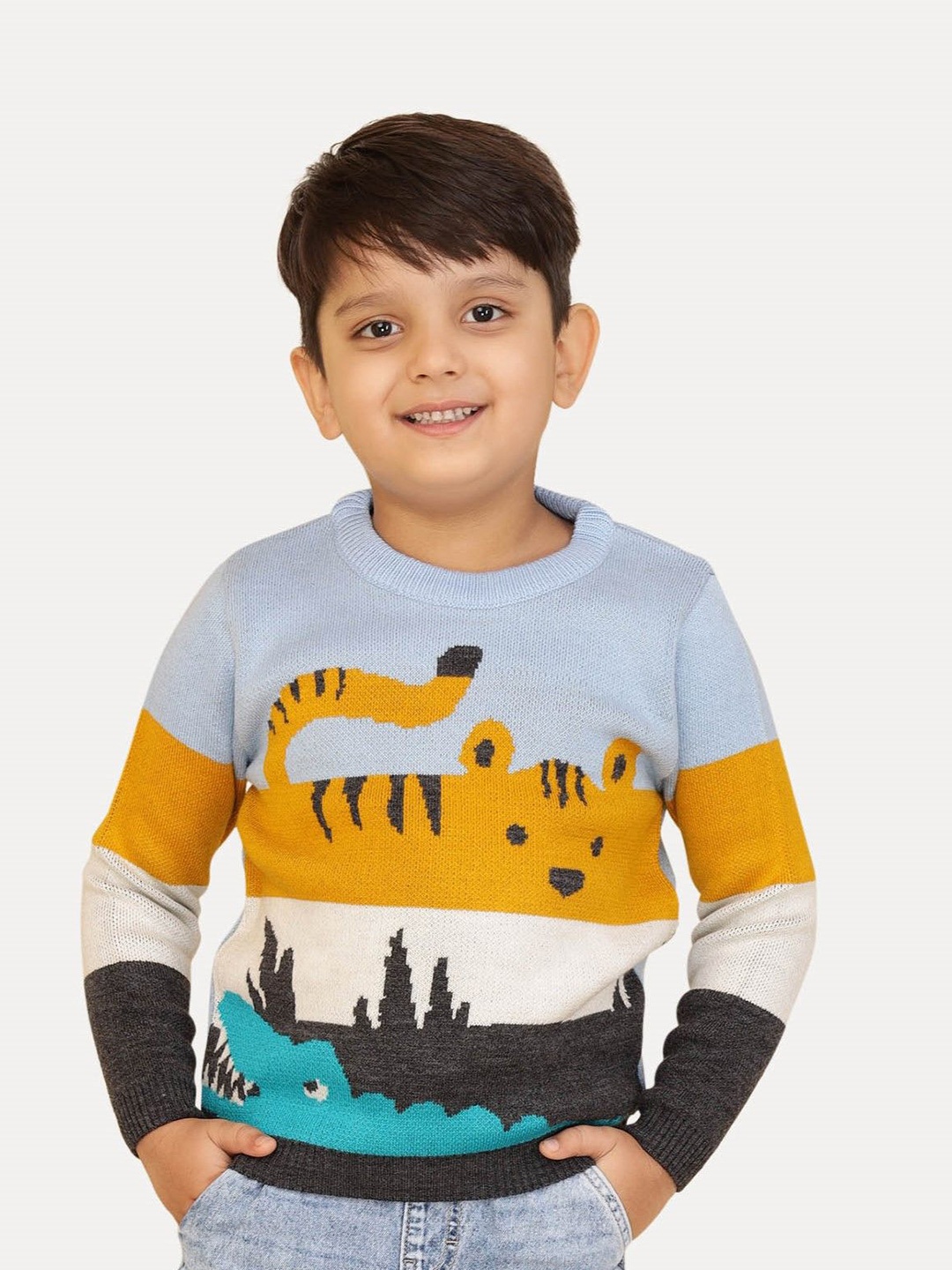 

JoE Hazel Boys Printed Pullover Sweaters, Blue