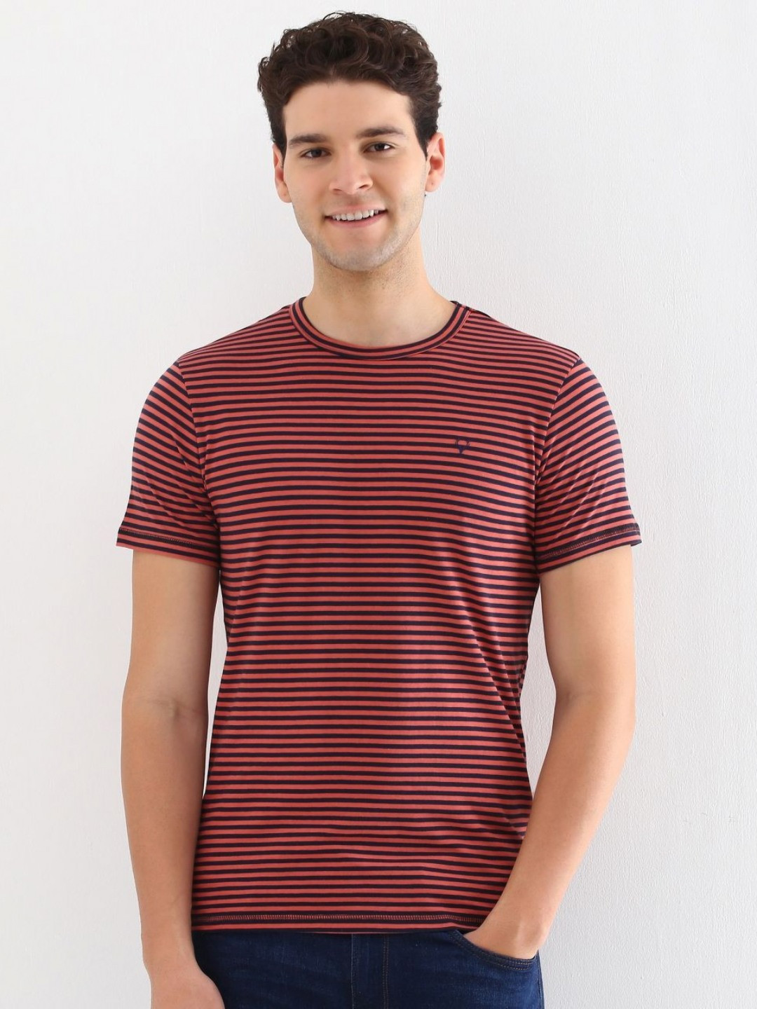 

Allen Solly Men Striped Round Neck Cotton Slim Fit T-shirt, Maroon