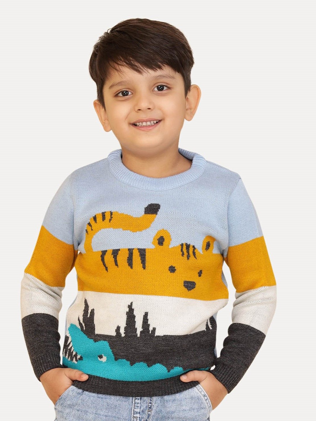 

JoE Hazel Boys Animal Printed Pullover, Grey