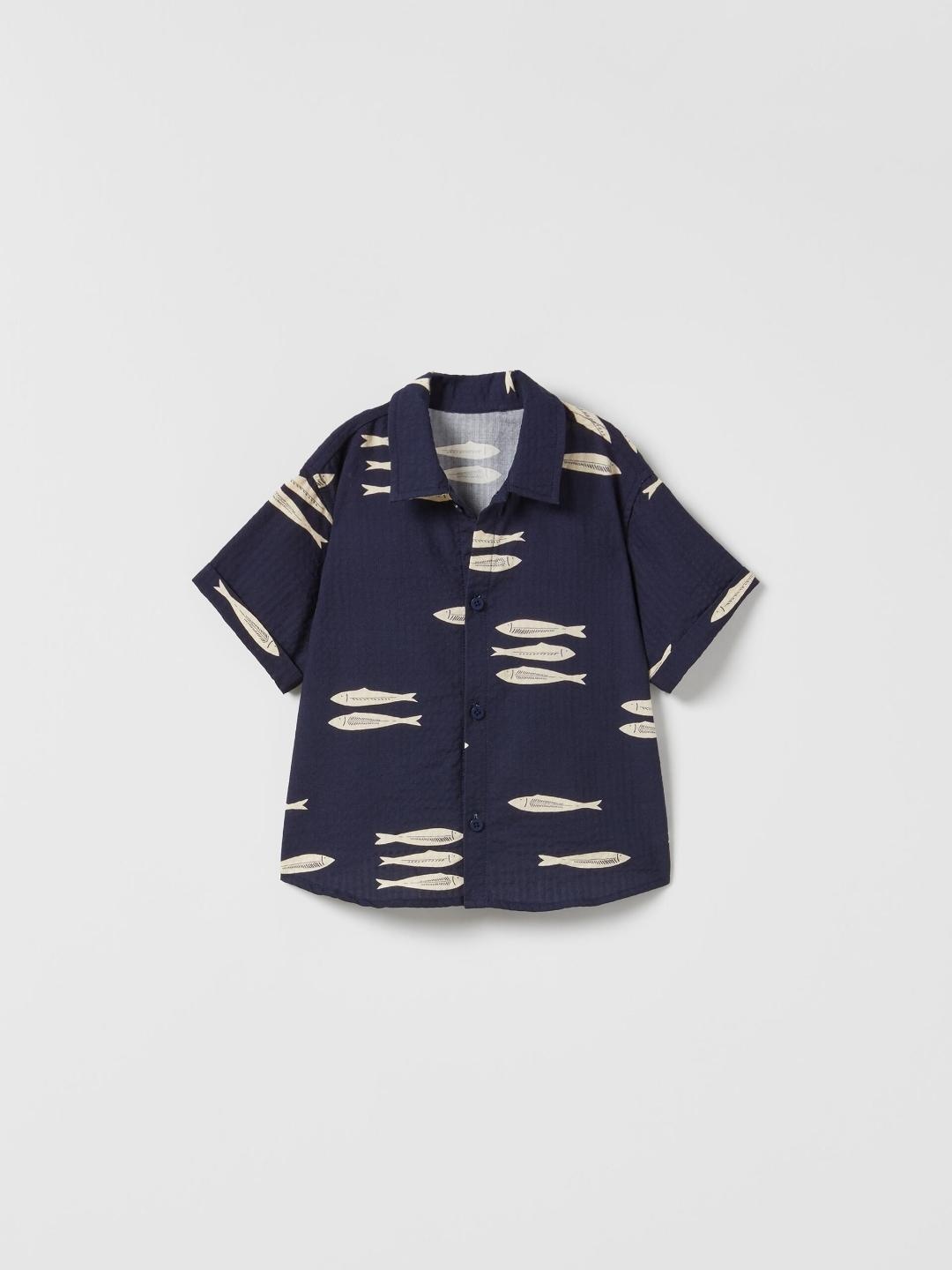 

ZARA Unisex Multi Shirts