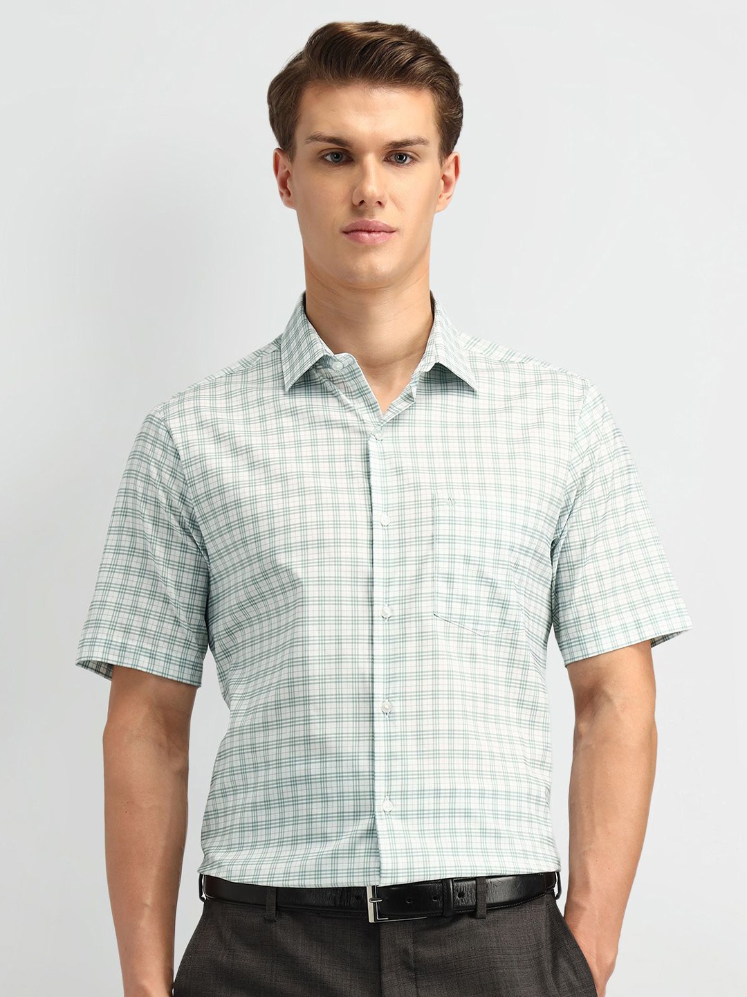 

Arrow Men Classic Spread Collar Checked Cotton Casual Shirt, Green