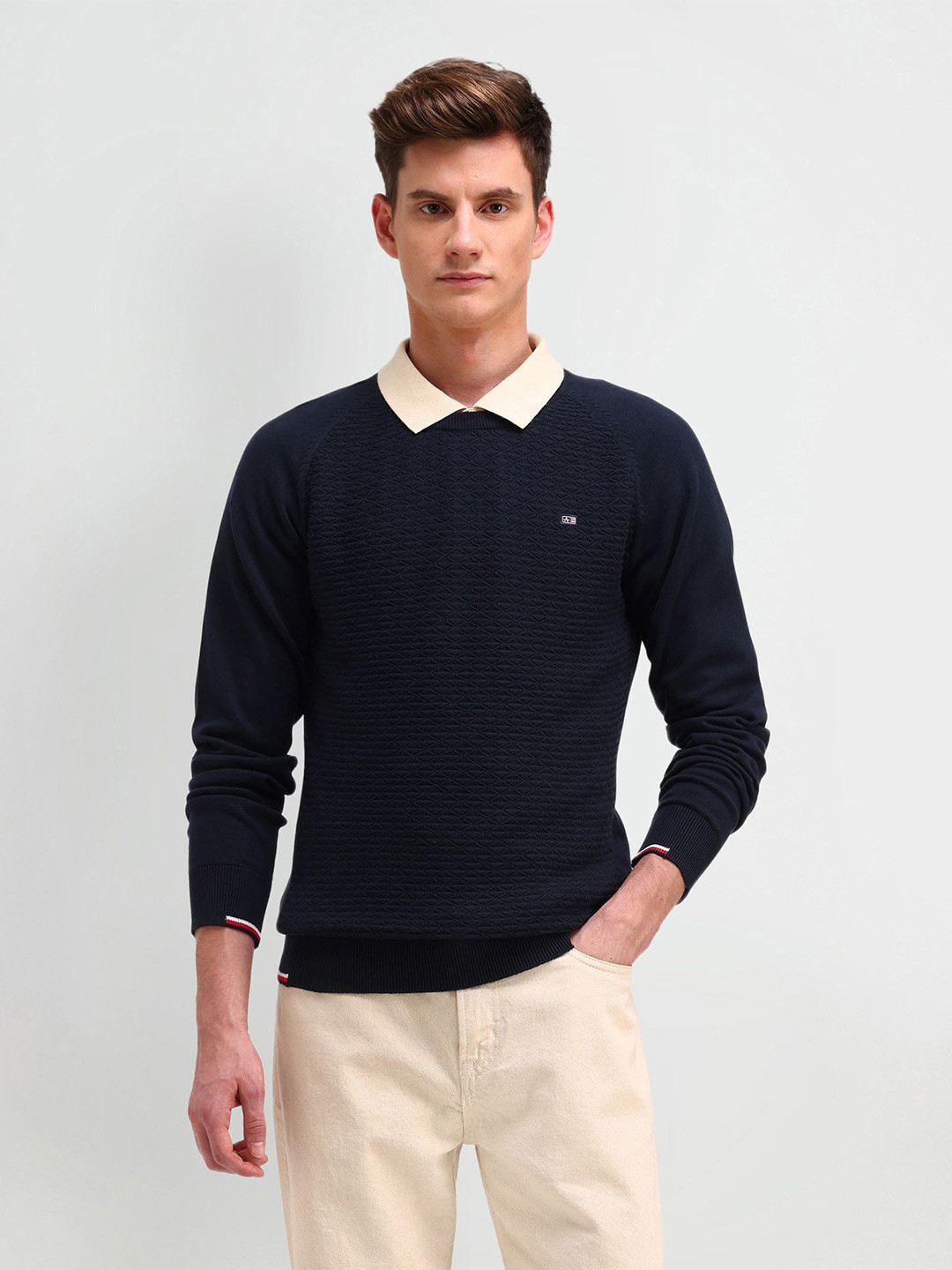 

Arrow Sport Men Round Neck Long Sleeves Pullover Sweater, Blue