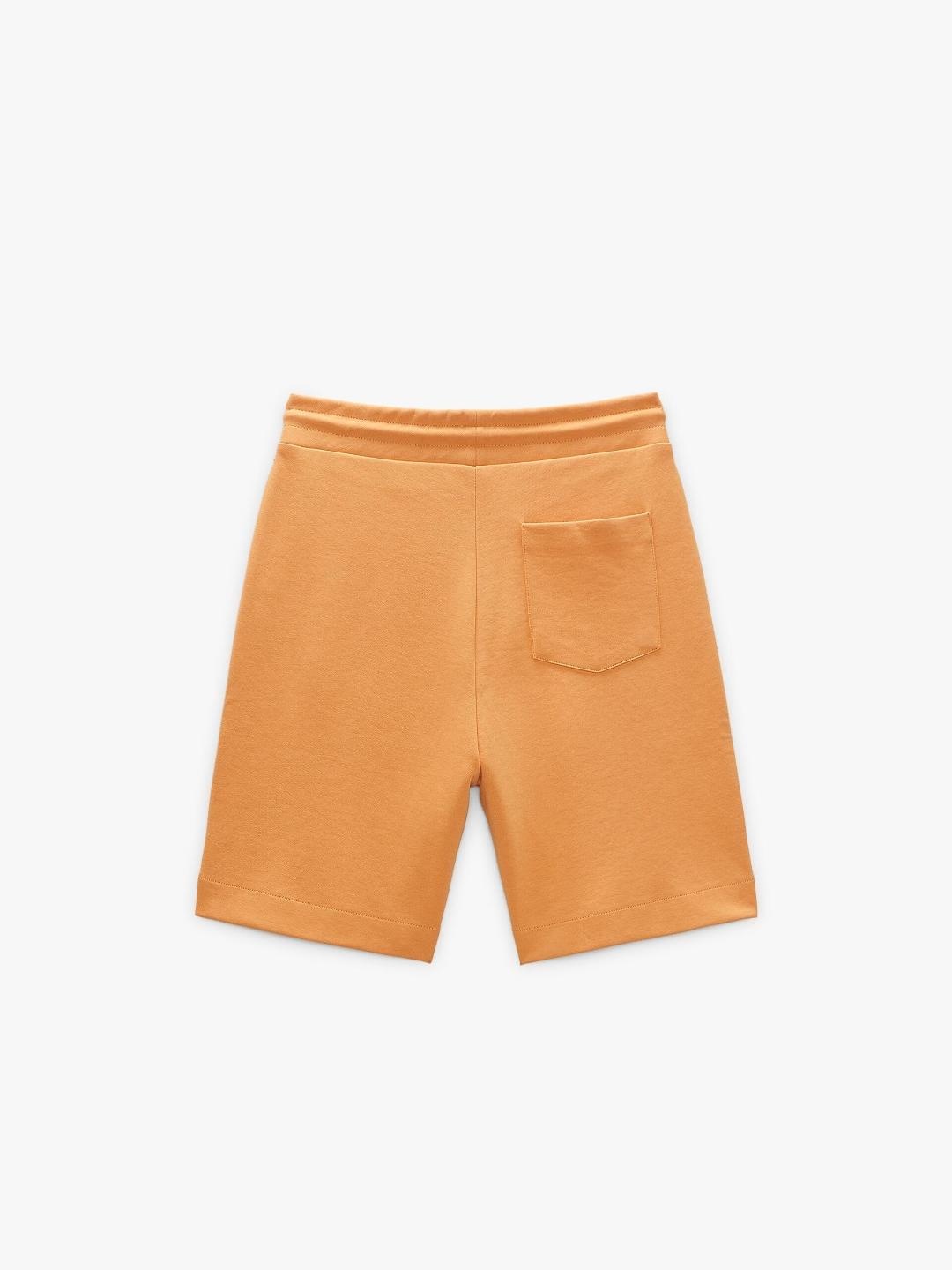 

ZARA Men Peach Shorts