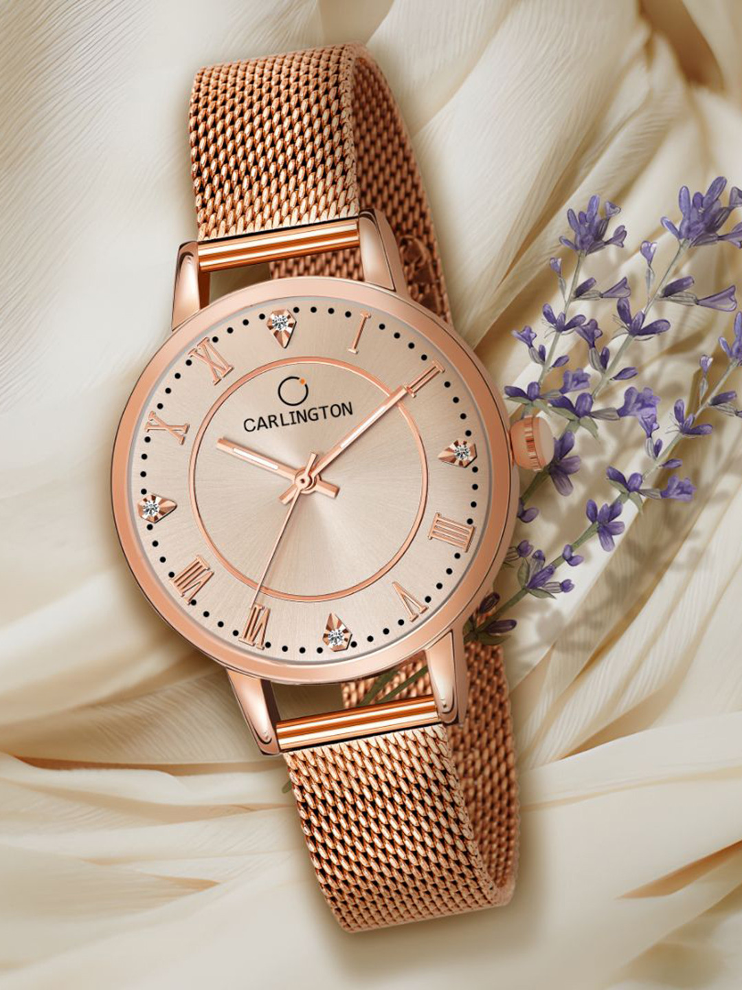 

CARLINGTON Women Stainless Steel Straps Analogue Multi Function Watch CT2013 RoseGold1, Rose gold