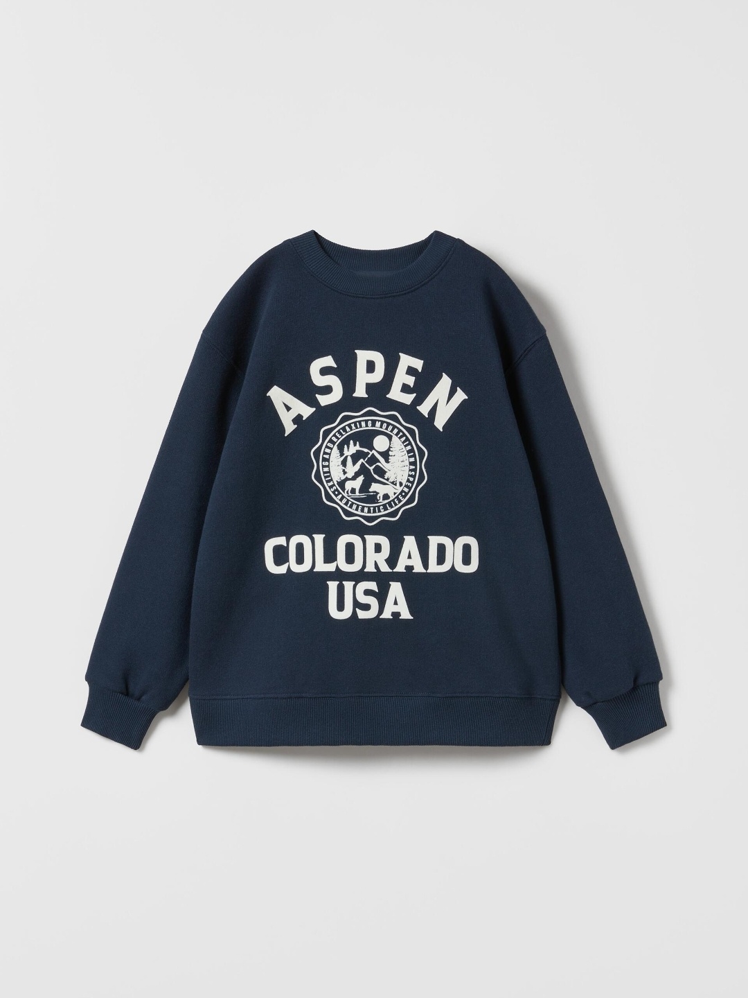 

ZARA Boys Navy Blue Sweaters