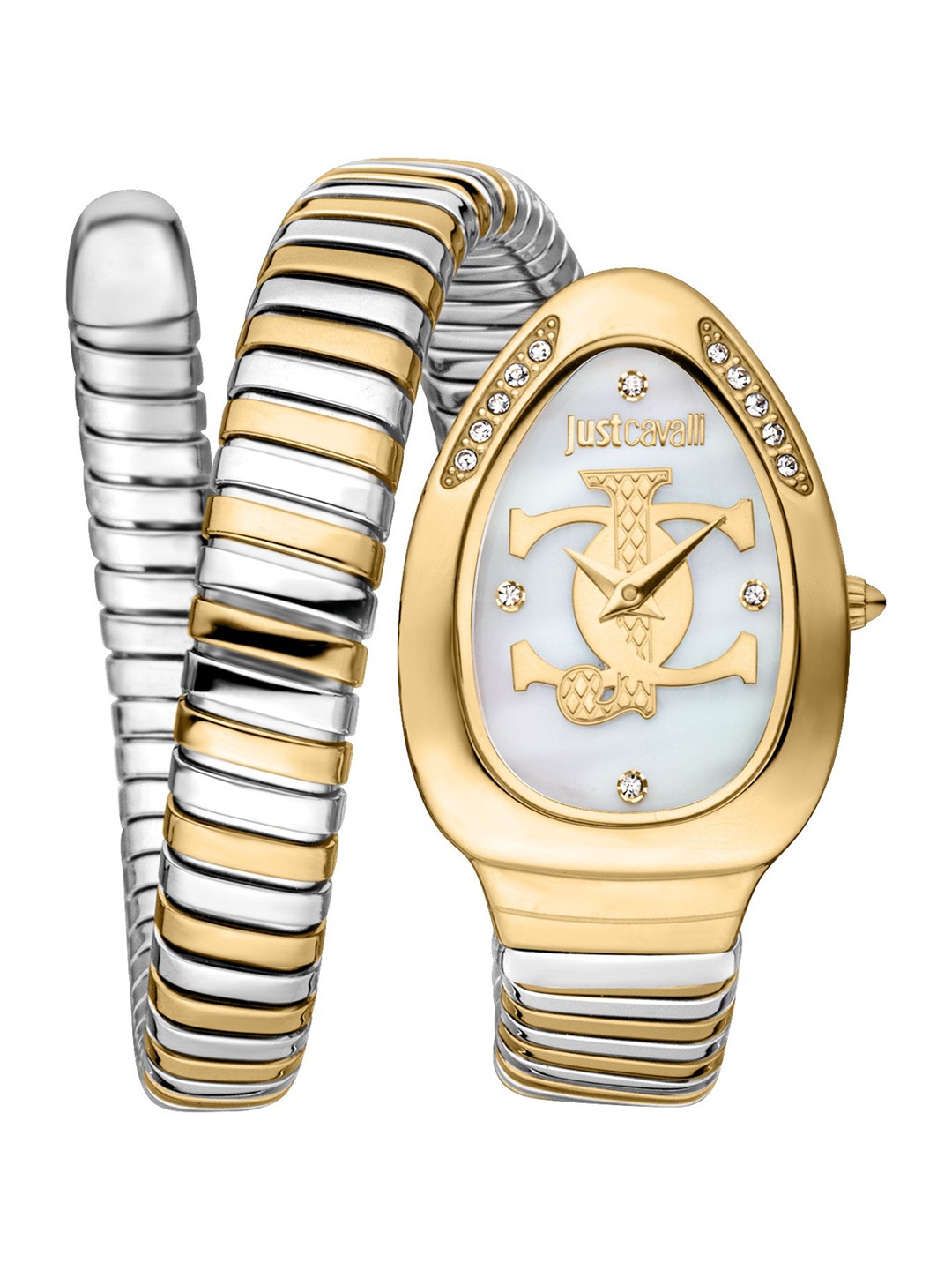 

Just Cavalli Women Bracelet Style Straps Analogue Watch JC1L227M0065, Multi