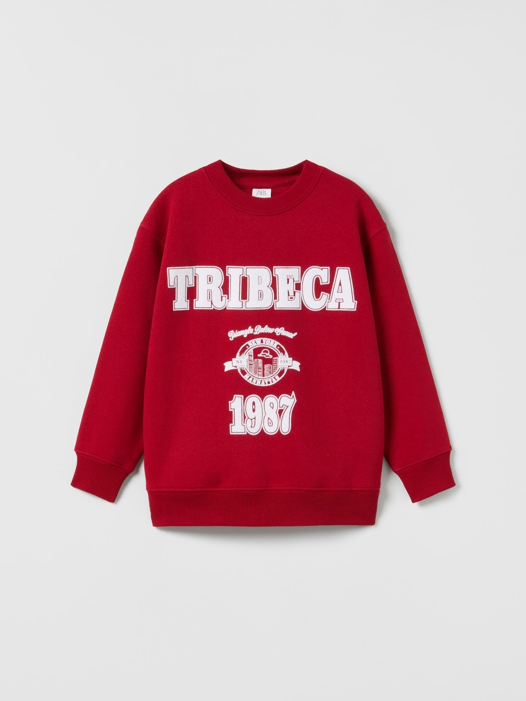 

ZARA Boys Red Sweaters
