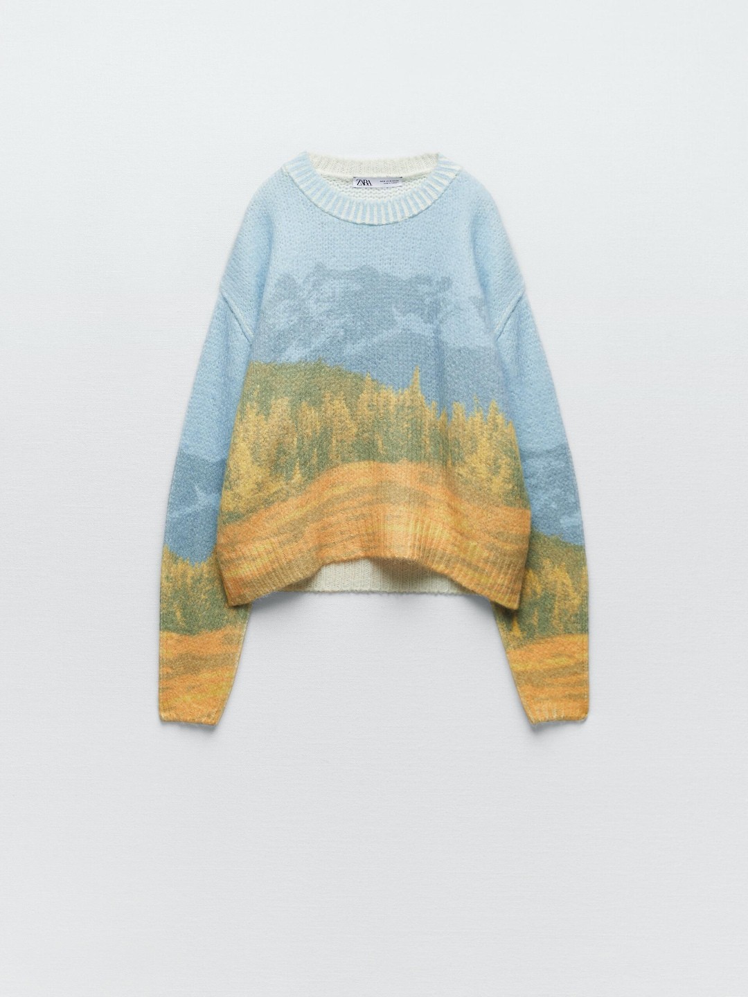 

ZARA Women Sweaters, Na