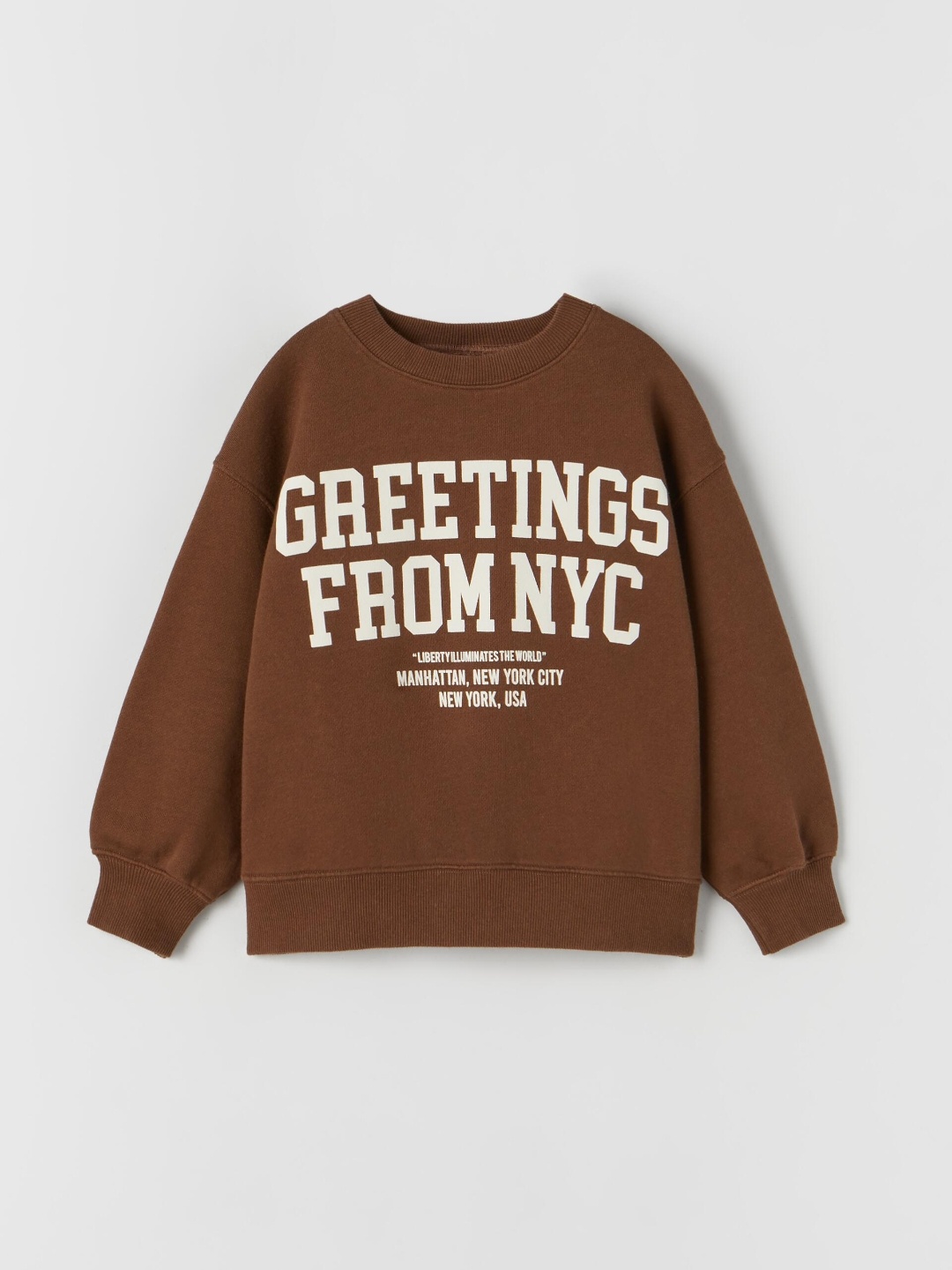 

ZARA Girls Brown Sweaters
