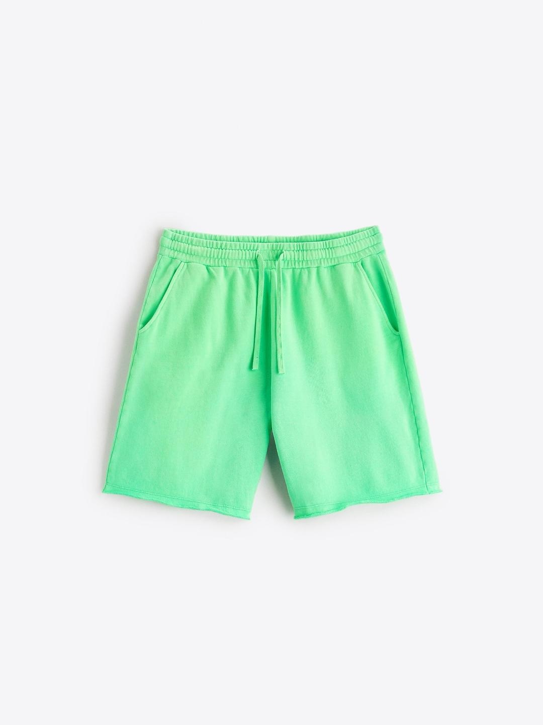 

ZARA Men Green Shorts