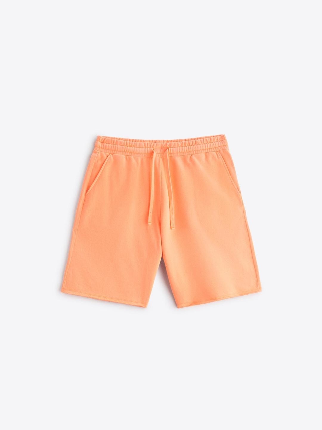 

ZARA Men Orange Shorts