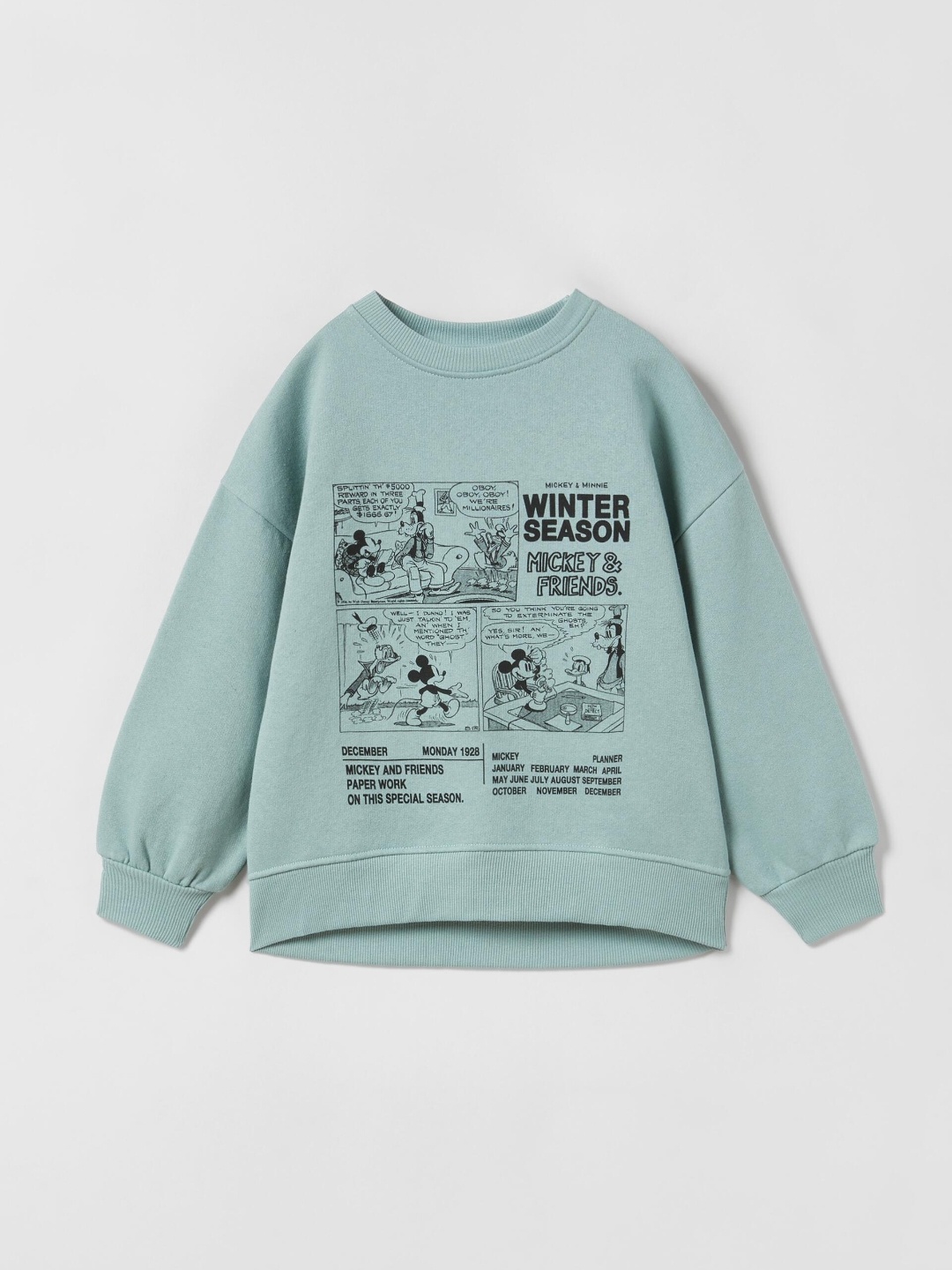 

ZARA Girls Sweaters, Na