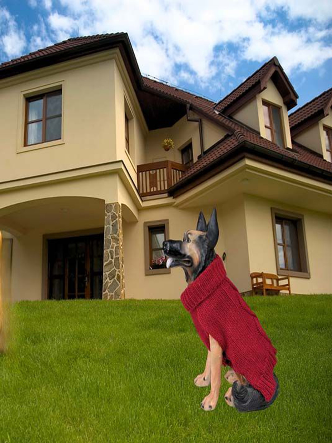 

Lulala Self Design Dog Sweater, Red