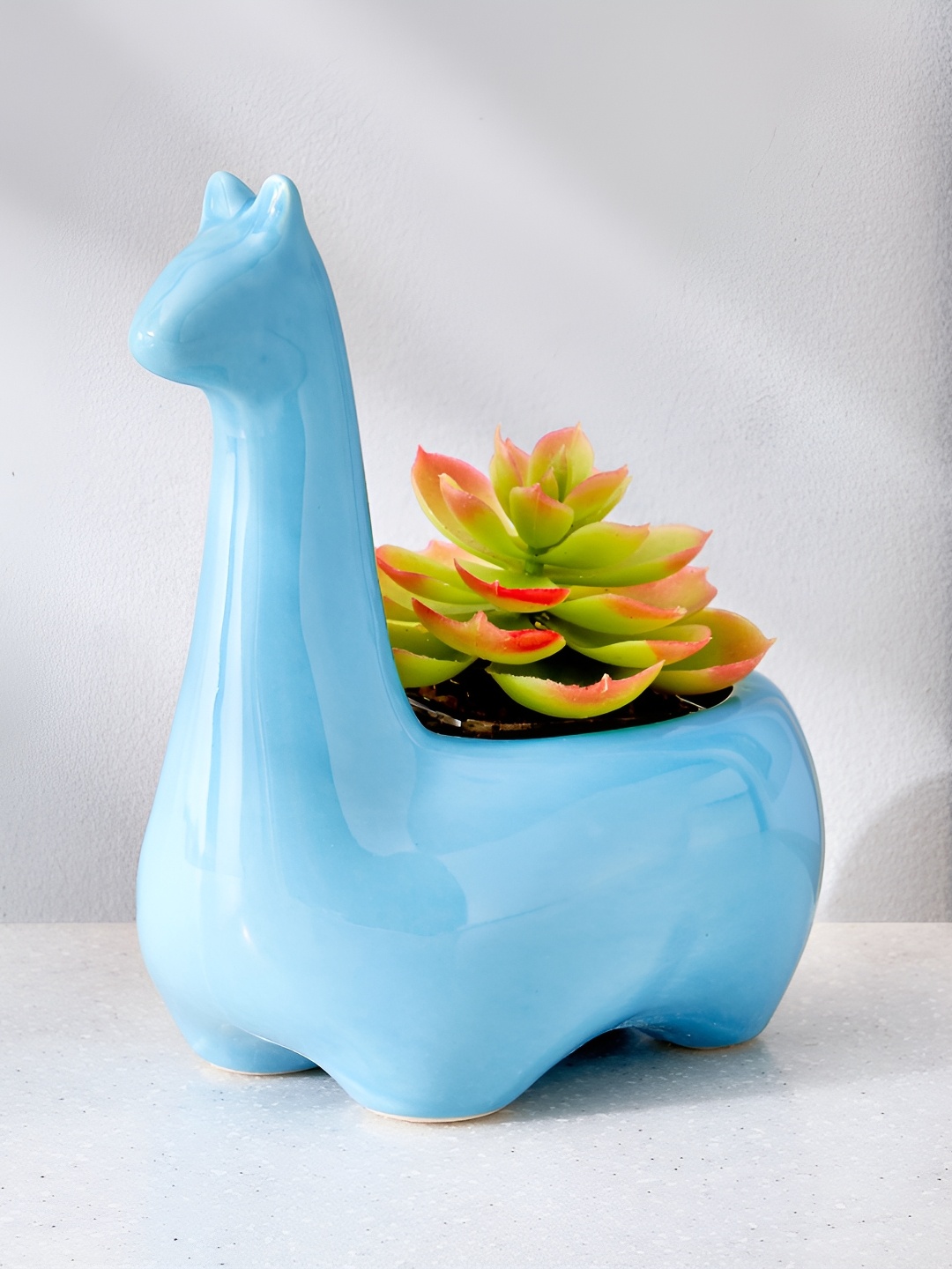 

Home Centre Corsica Eden Teal Blue Ceramic Dinosaur Planter