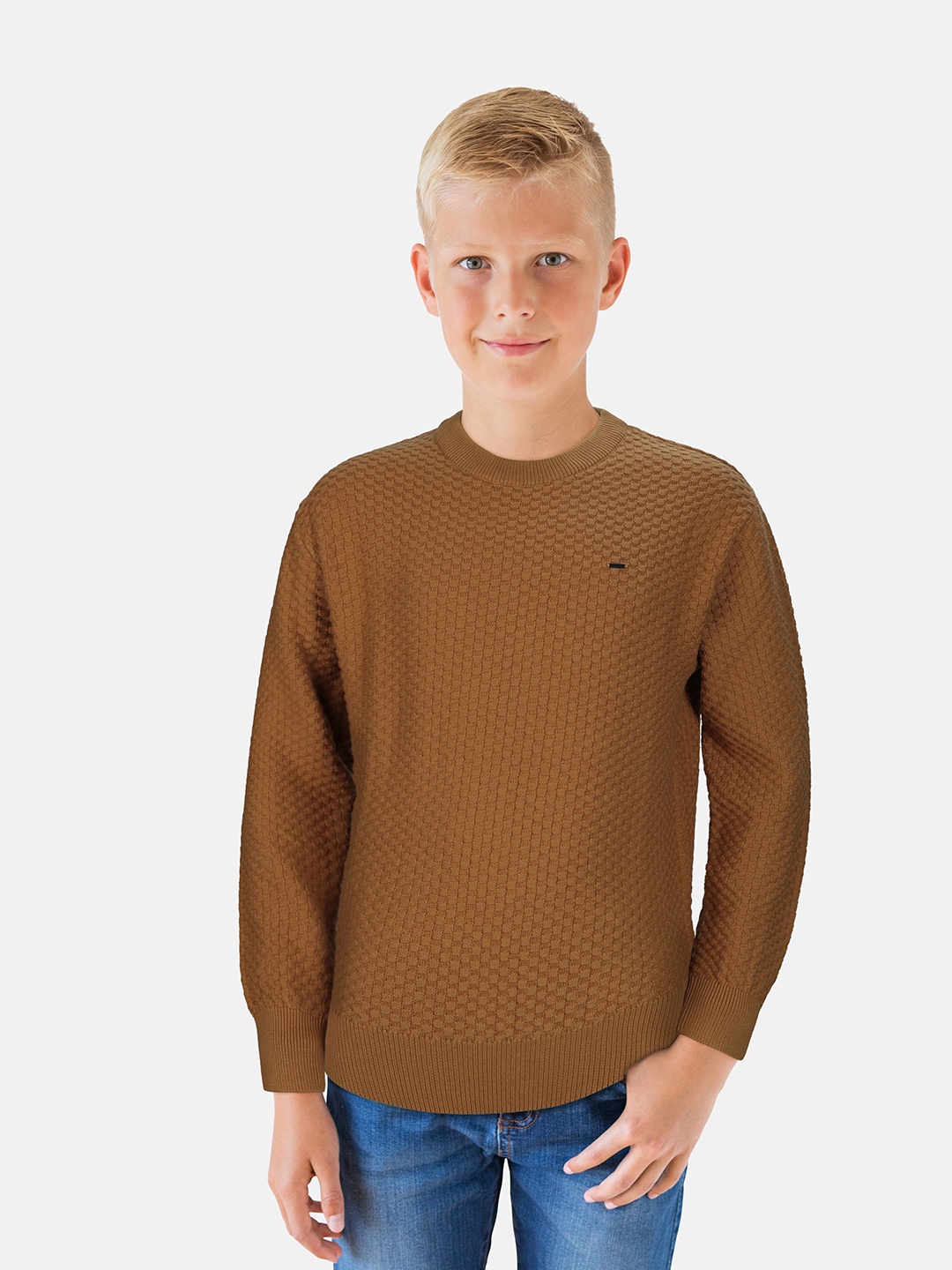 

Gini and Jony Boys Round Neck Pullover, Brown