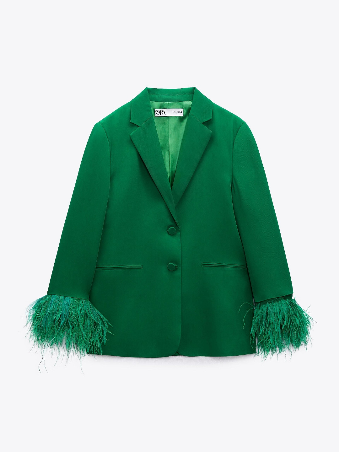

ZARA Women Transparent Blazers