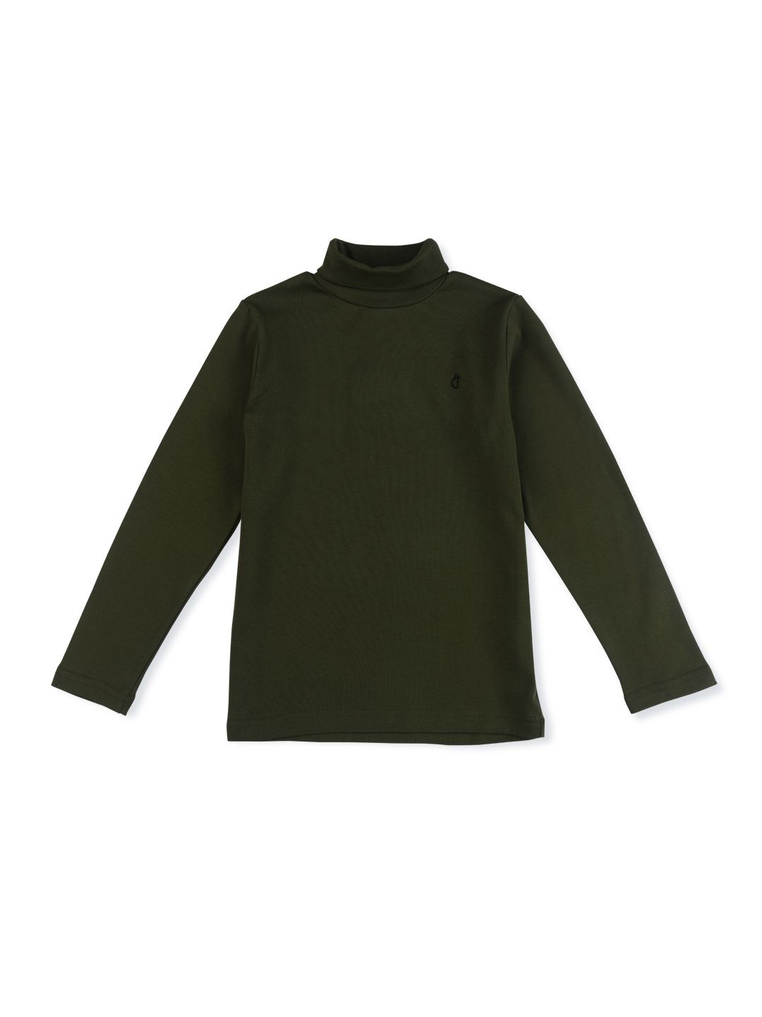 

Gini and Jony Boys Solid Turtle Neck Cotton Pullover Sweater, Green