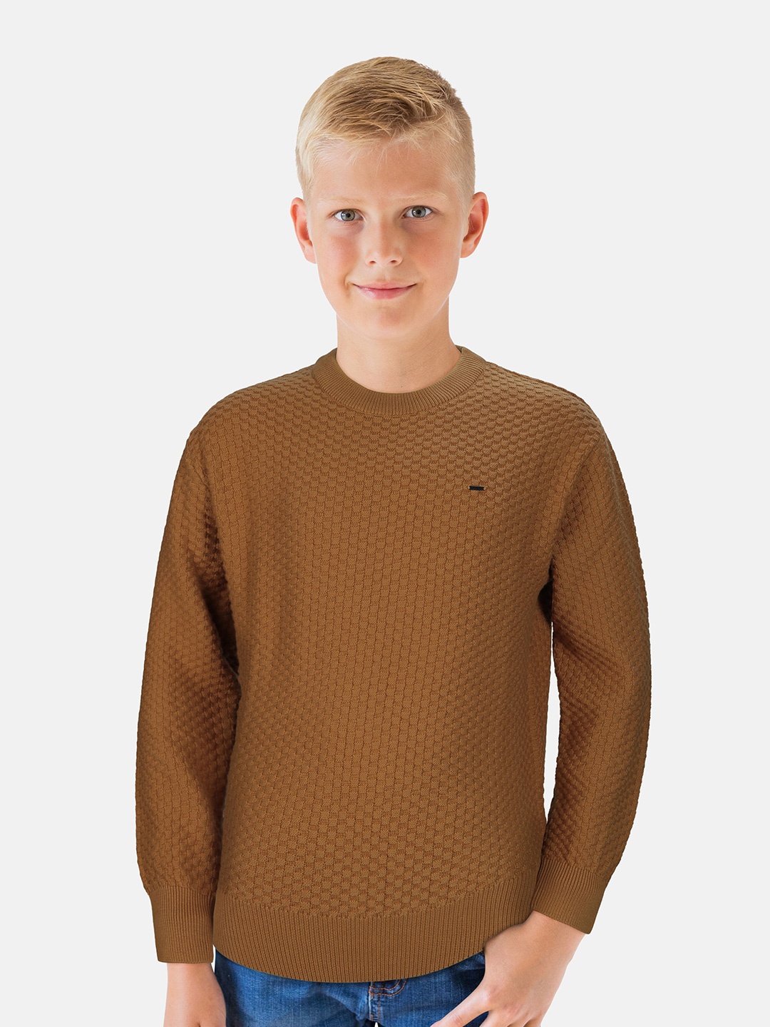 

Gini and Jony Boys Round Neck Pullover, Brown
