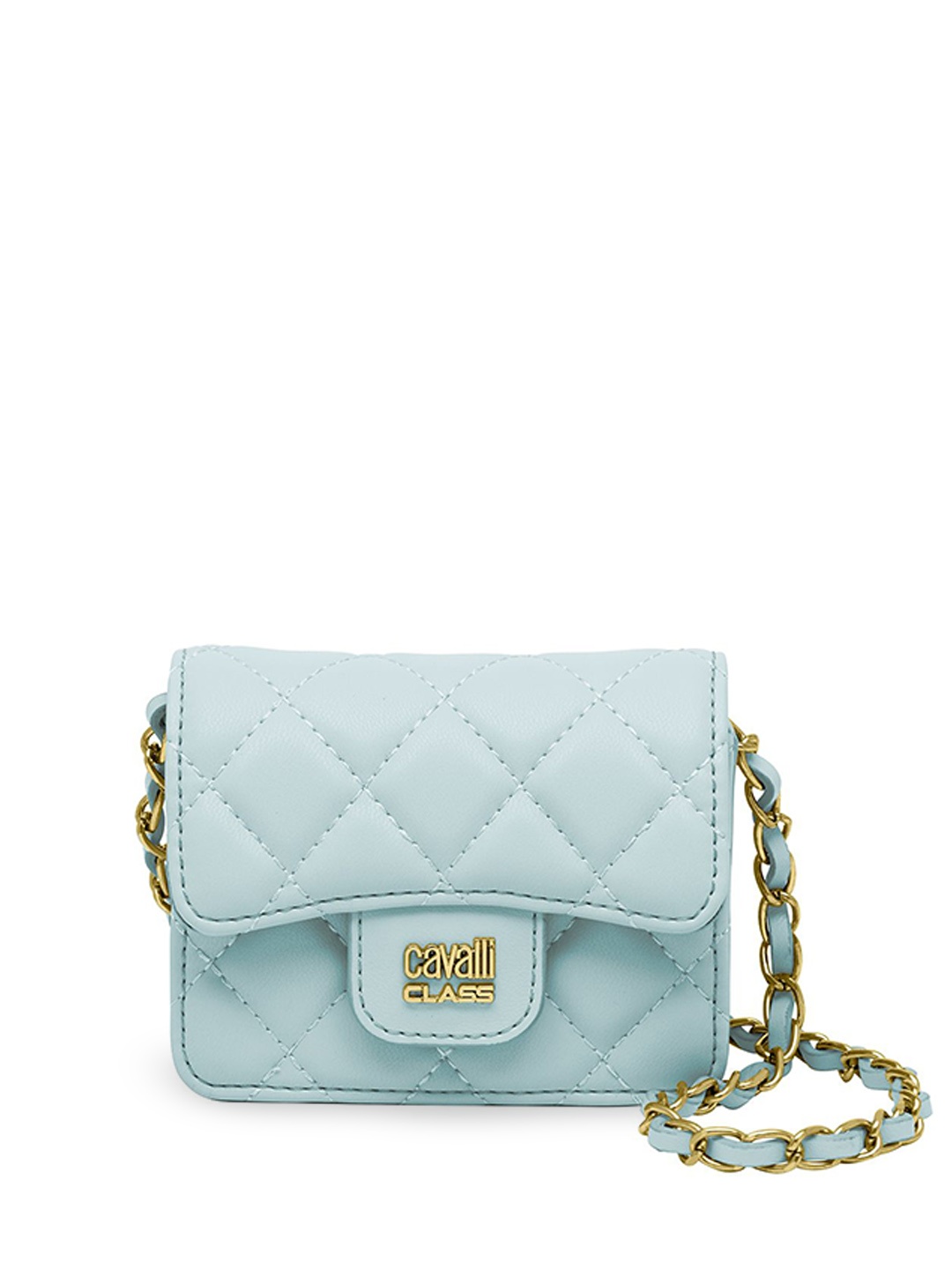 

Cavalli Class Women Textured Solid Structured Sling Bag, Sea green