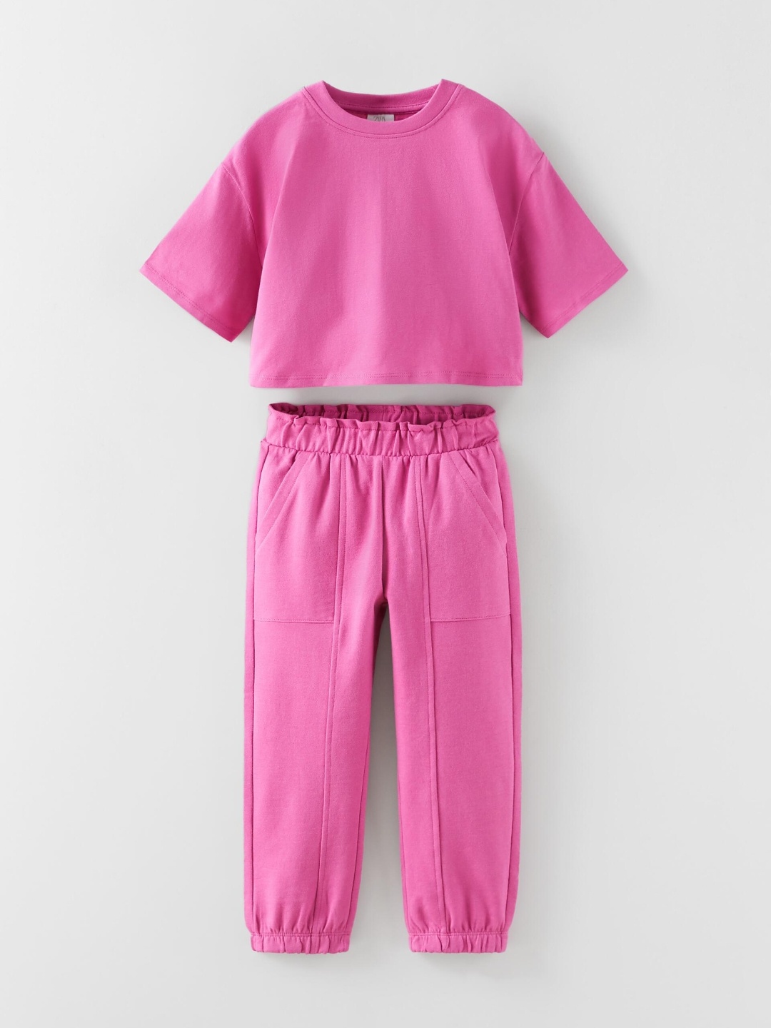 

ZARA Girls Purple Shirts