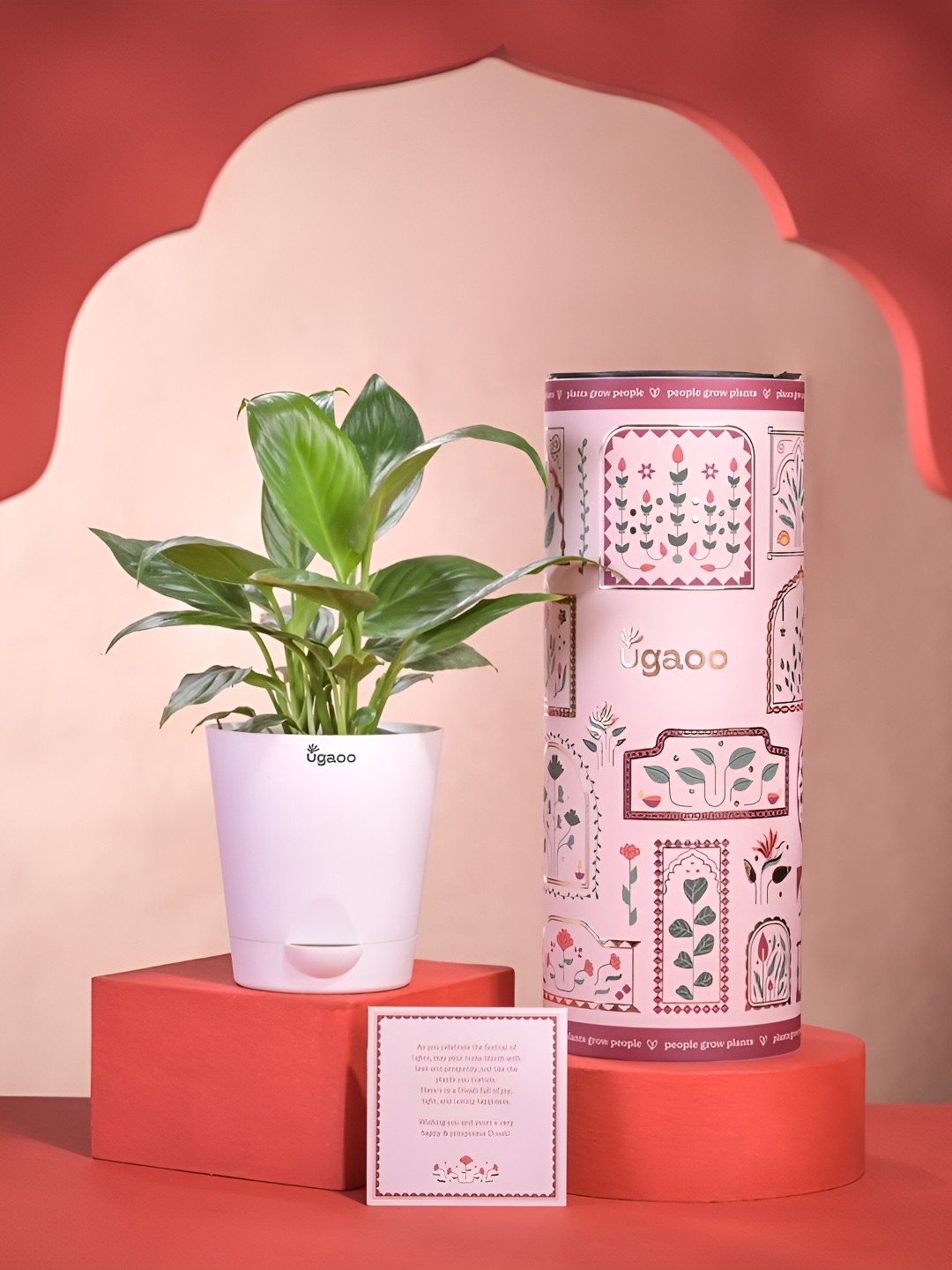 

UGAOO Red & Green Lily Plant Diwali Gift with Greeting Card