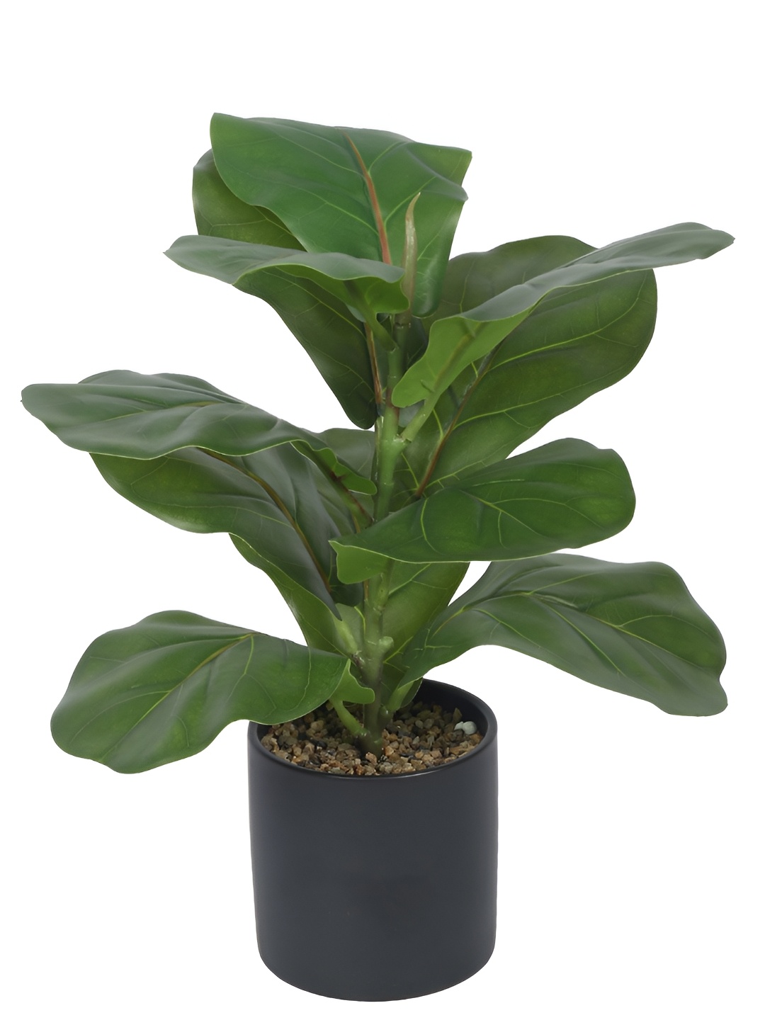 

Home Bloom Green and Black Artificial Plant With Pot