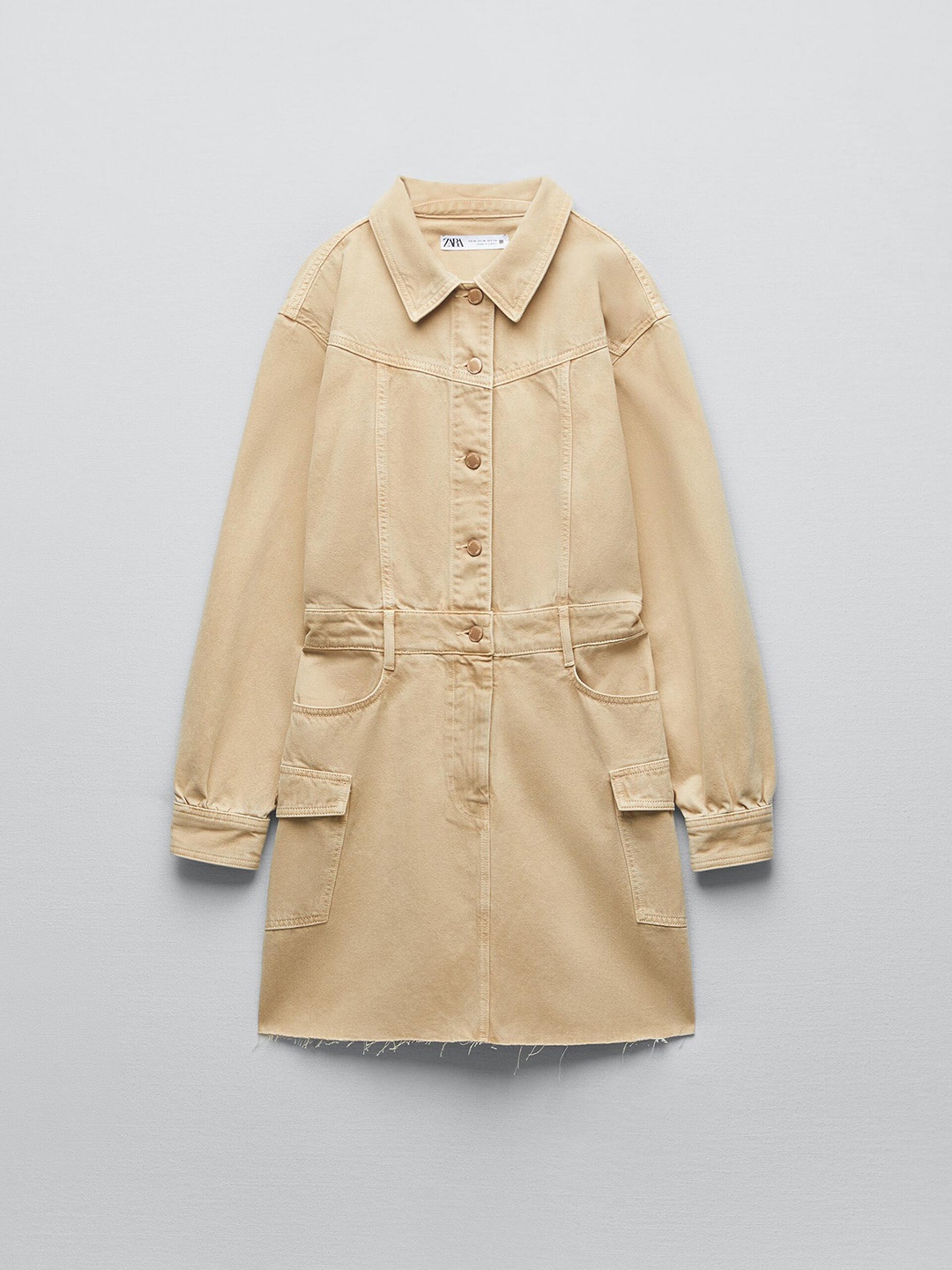 

ZARA Women Brown Dresses