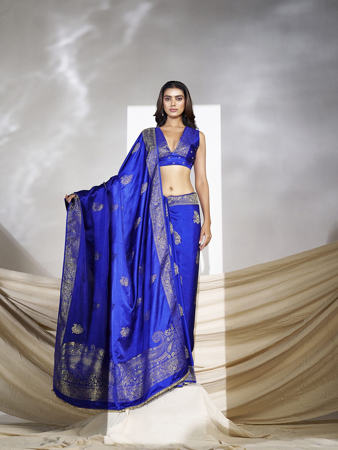 

Sangria Ethnic Motifs Woven Design Banarasi Saree, Blue