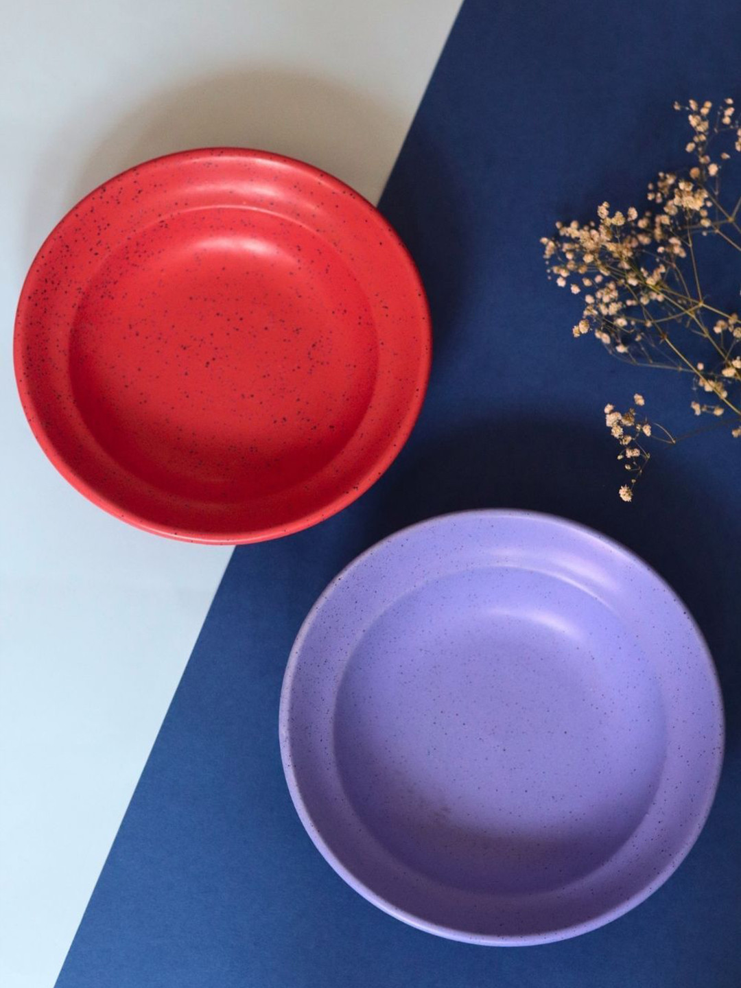 

WEAVING HOMES Blue & Red 2 Pieces Glossy Plates