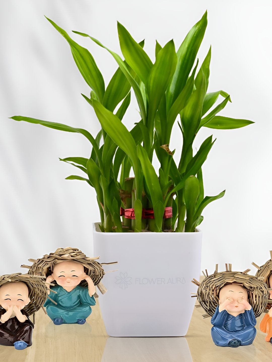 

Floweraura Green & White 2 Layer Lucky Bamboo Plant In Pot With Cute Buddha