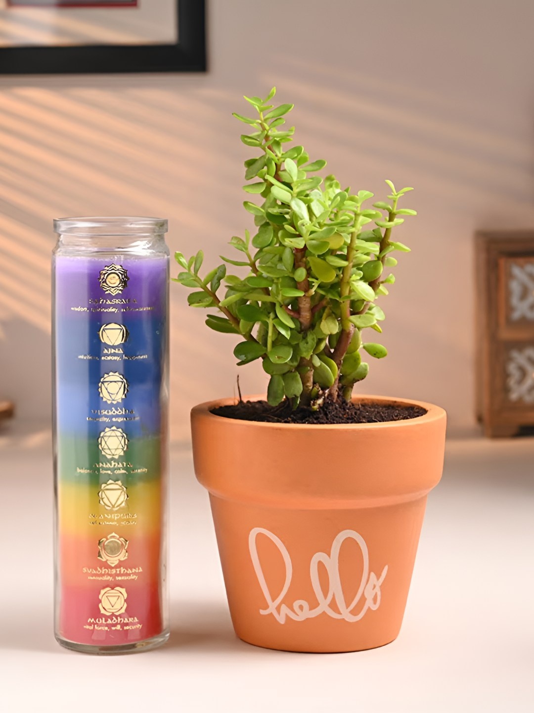 

Floweraura Green & Blue Air Purify Live Indoor Jade Plants With Candle