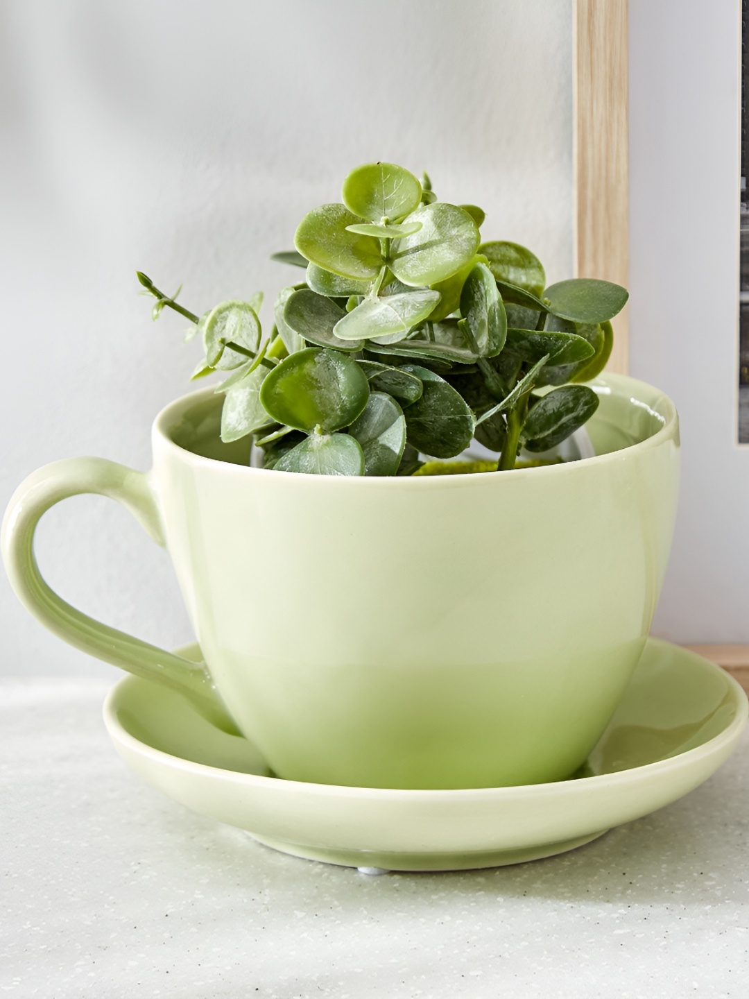 

Home Centre Gloria Chalice Green Ceramic Cup & Saucer Planter