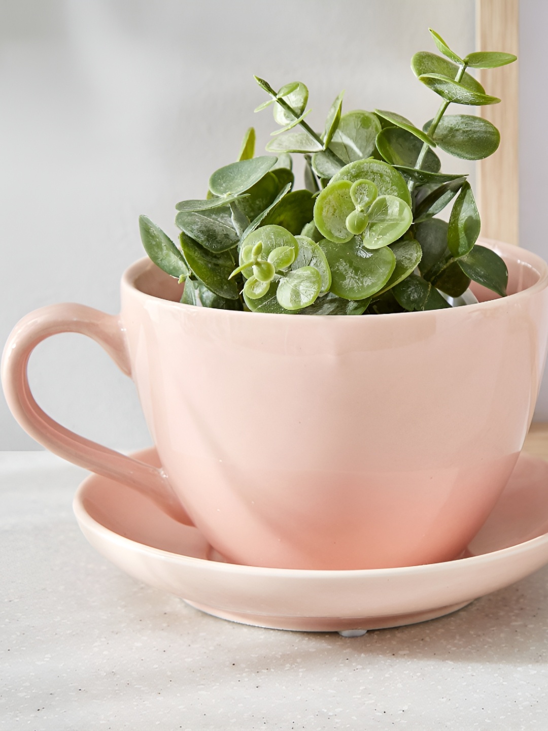 

Home Centre Gloria Chalice Pink Ceramic Cup & Saucer Planter