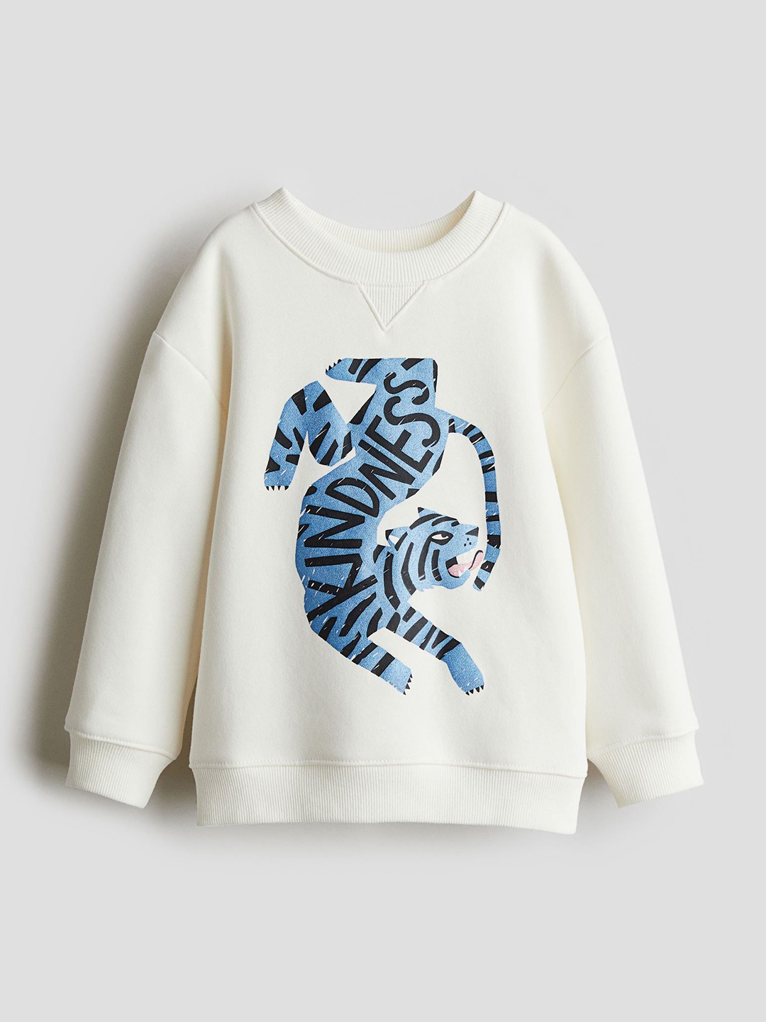 

H&M Infant Boys Motif-Detail Sweatshirt, White