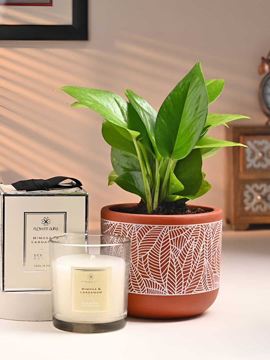 

Floweraura Green & Brown Indoor Money Plant In Pot With Candle Set