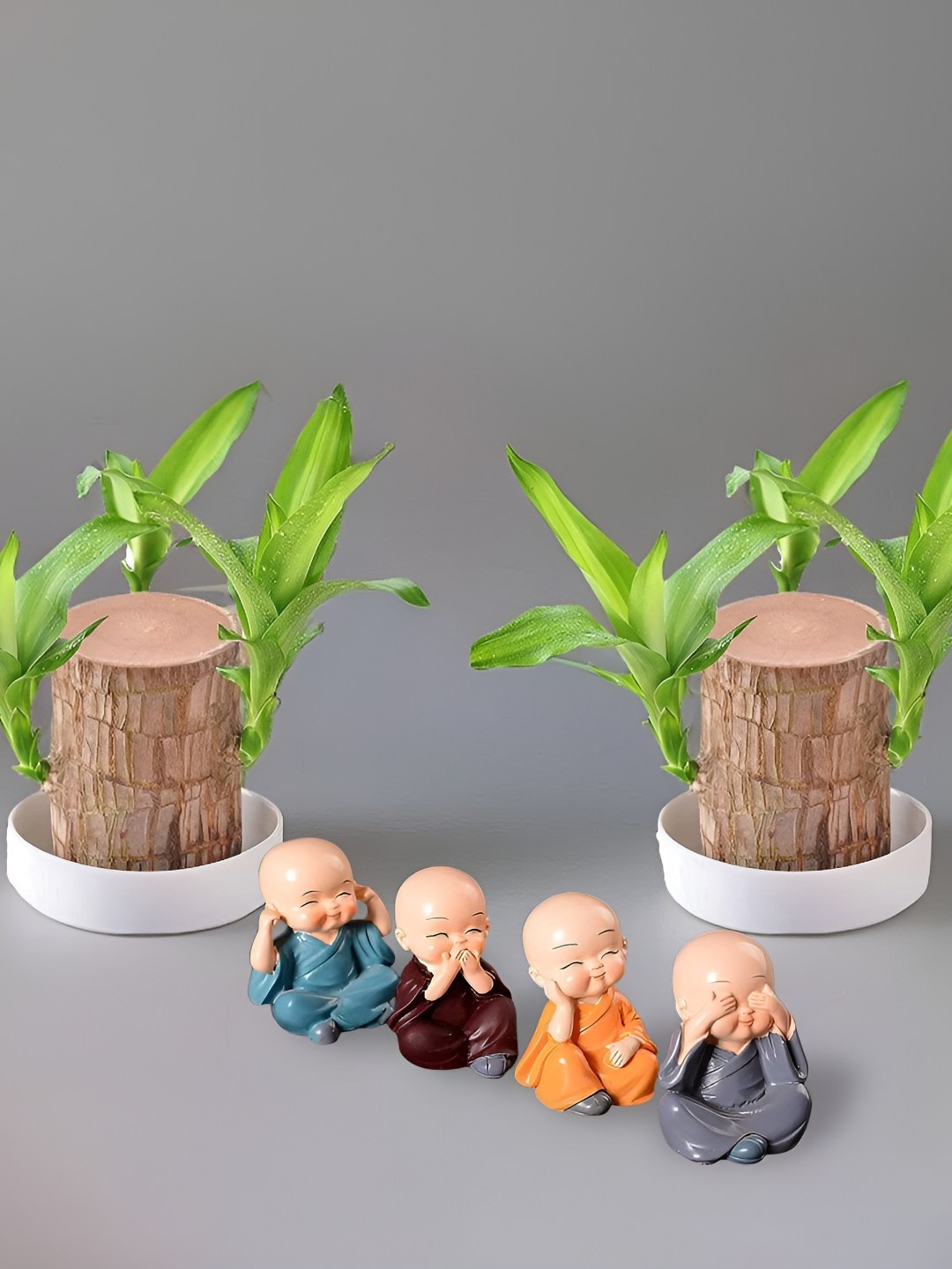 

Floweraura 2-Pcs Green & Brown Lucky Brazilian Wood Plant With Buddha Monks