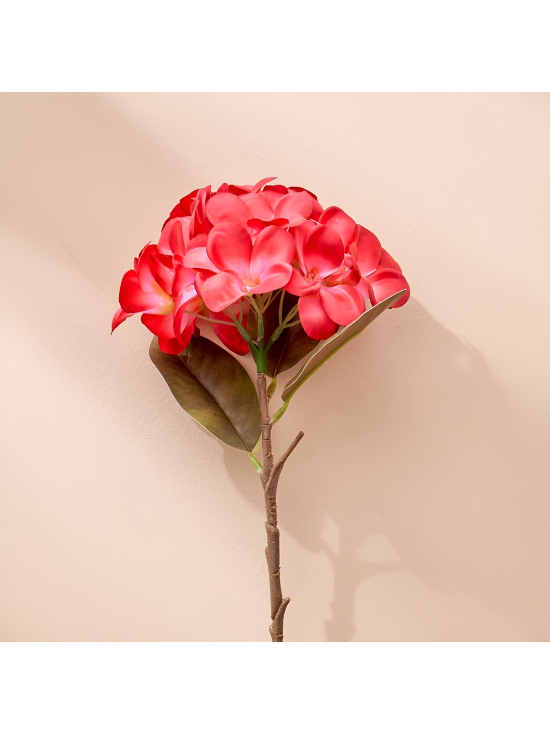 

Home Centre Botanical Pink & Green Frangipani Artificial Plant