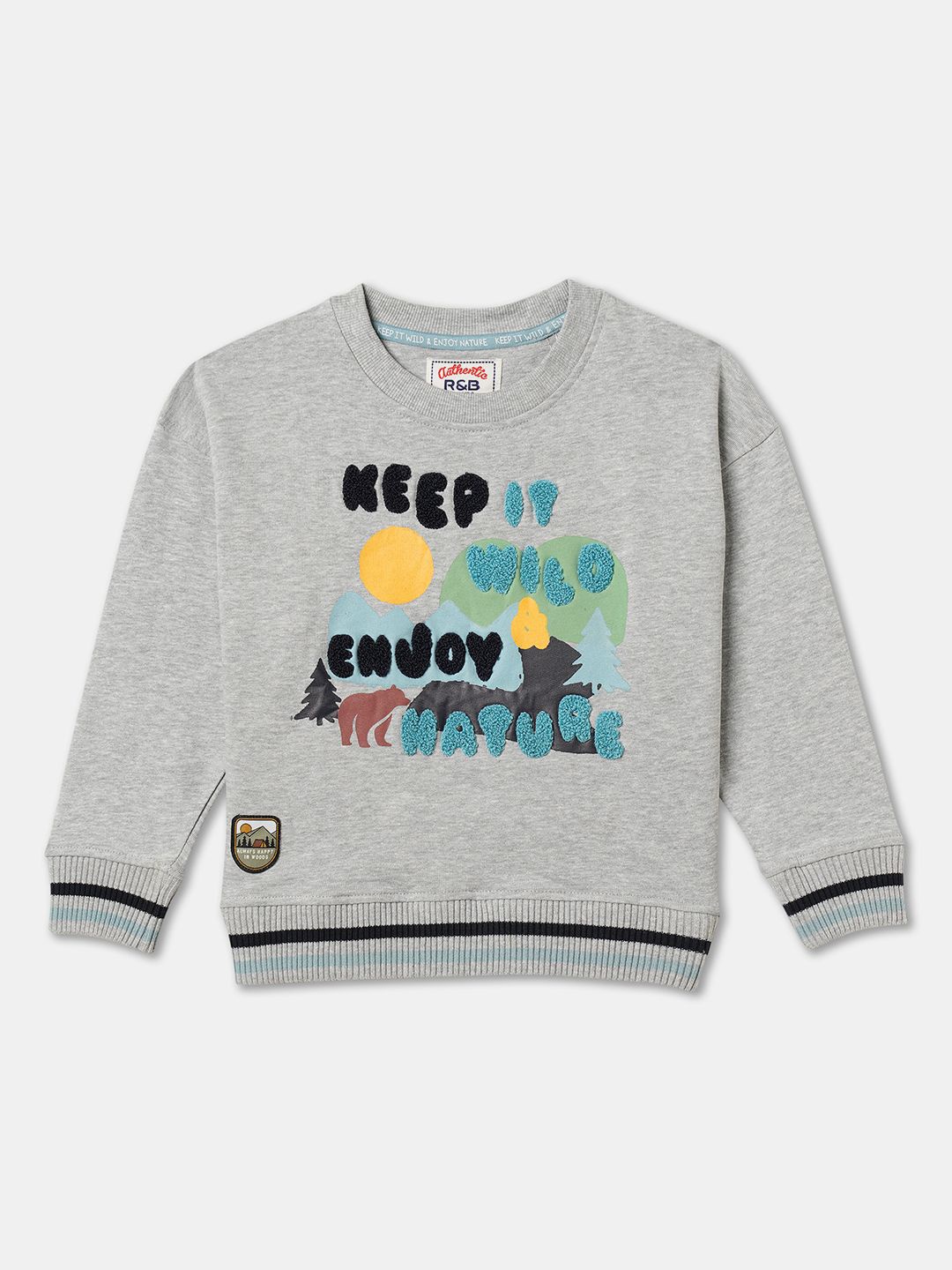 

R&B Boys Typography Embroidered Cotton Sweatshirt, Grey