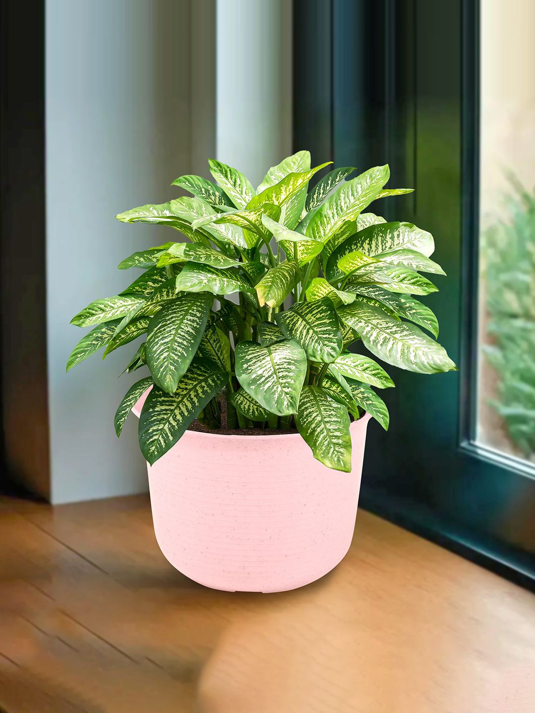 

Kuber Industries Pink Textured Planter With Plate