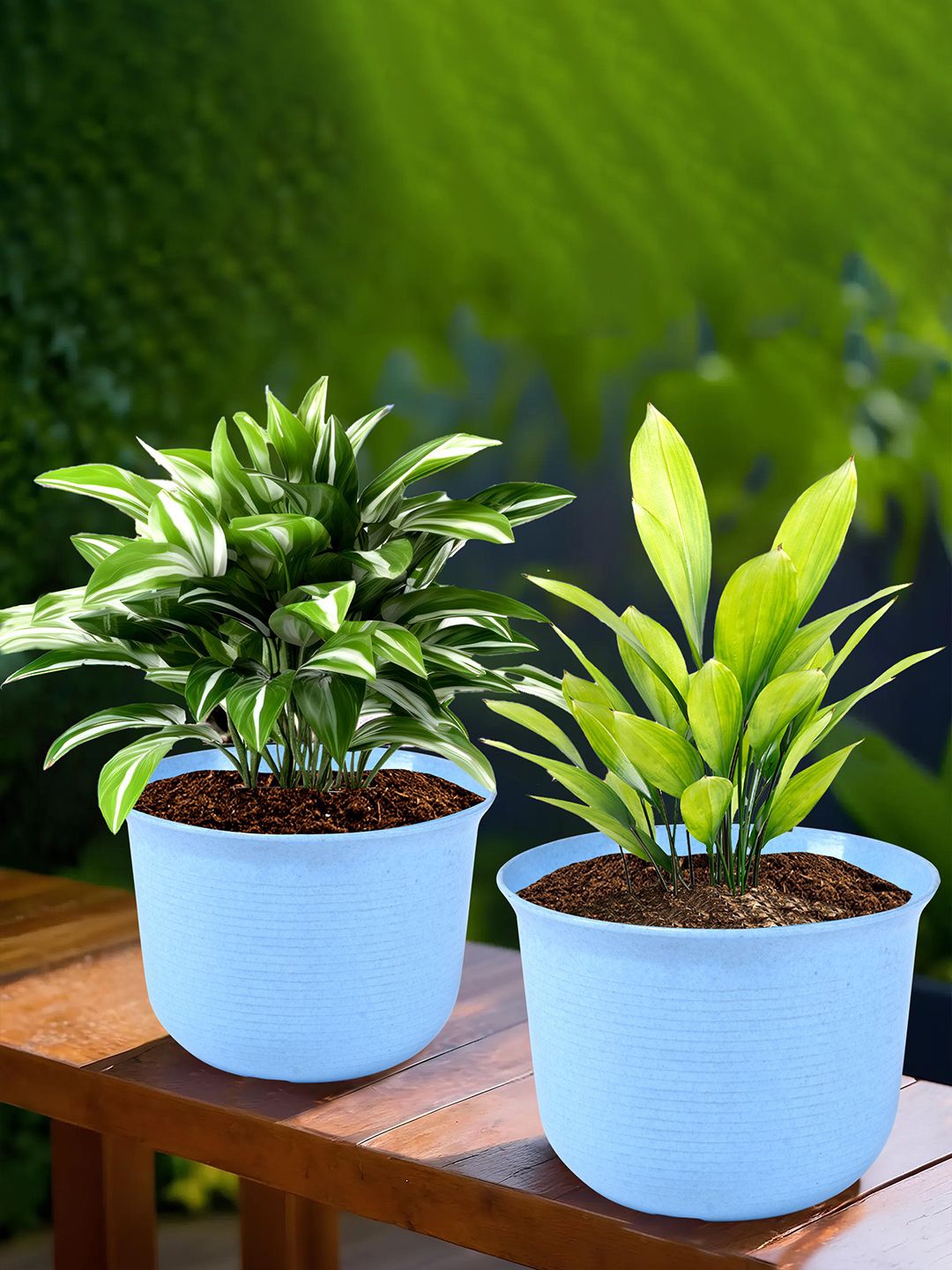 

Kuber Industries Blue 2 Pieces Textured Flower Pots With Plates