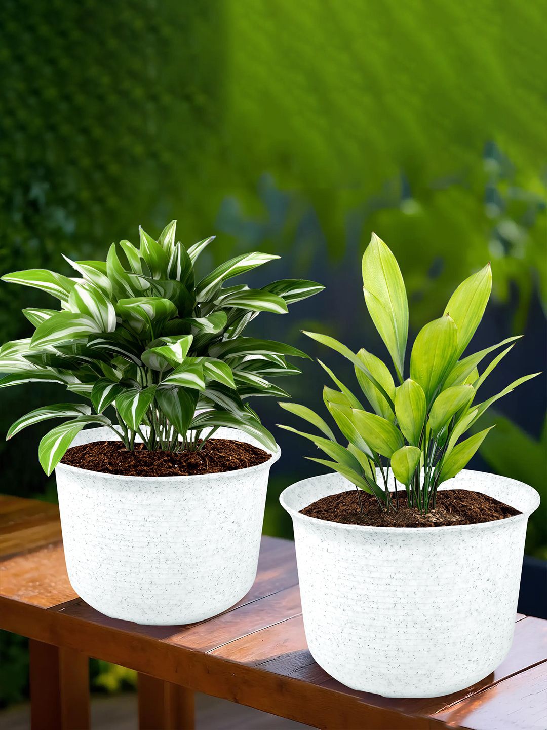 

Kuber Industries White 2 Pieces Marble Finish Planters With Tray