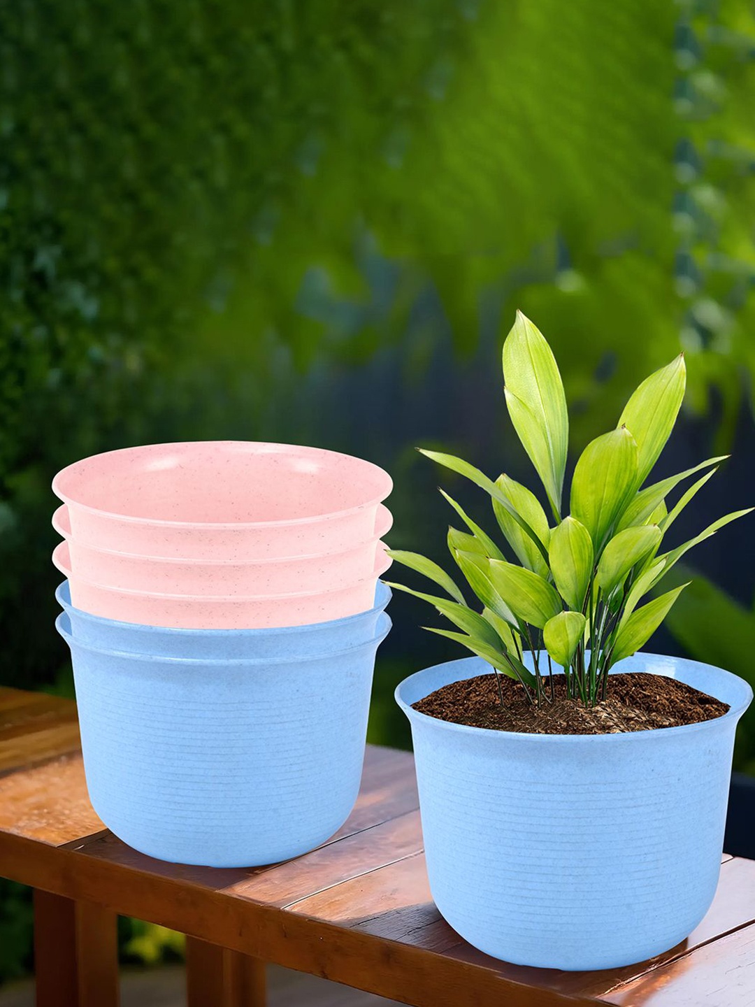 

Kuber Industries 6Pcs Pink & Blue Textured Planters With Plate