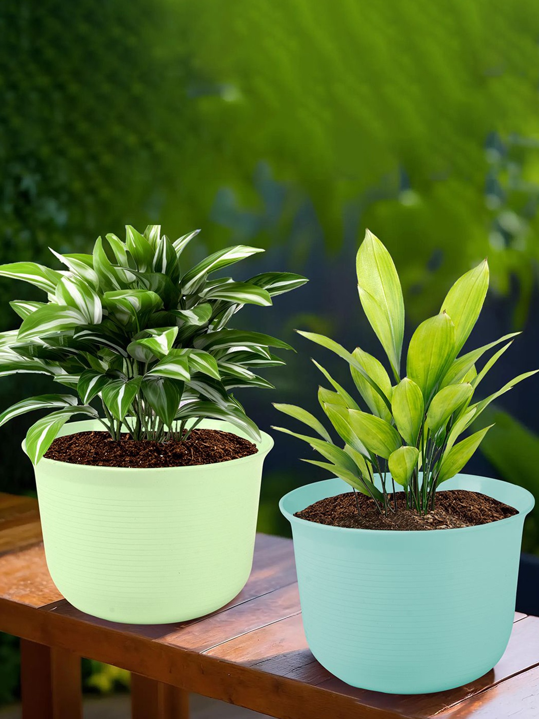 

Kuber Industries Blue & Green 2 Pieces Sawera Planters With Plate
