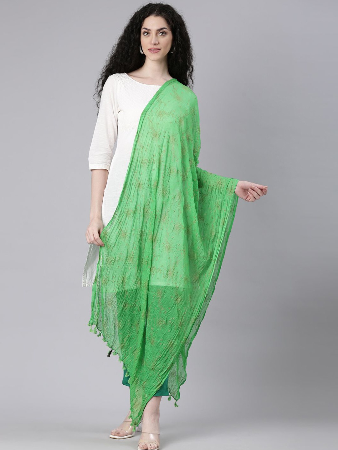 

Souchii Ethnic Motifs Printed Foil Chiffon Dupatta, Green