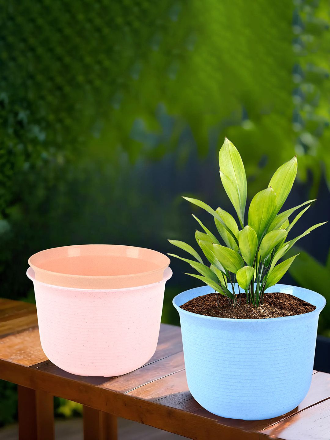 

Kuber Industries Sawera Blue & Pink 3 Pcs Textured Planters With Plates
