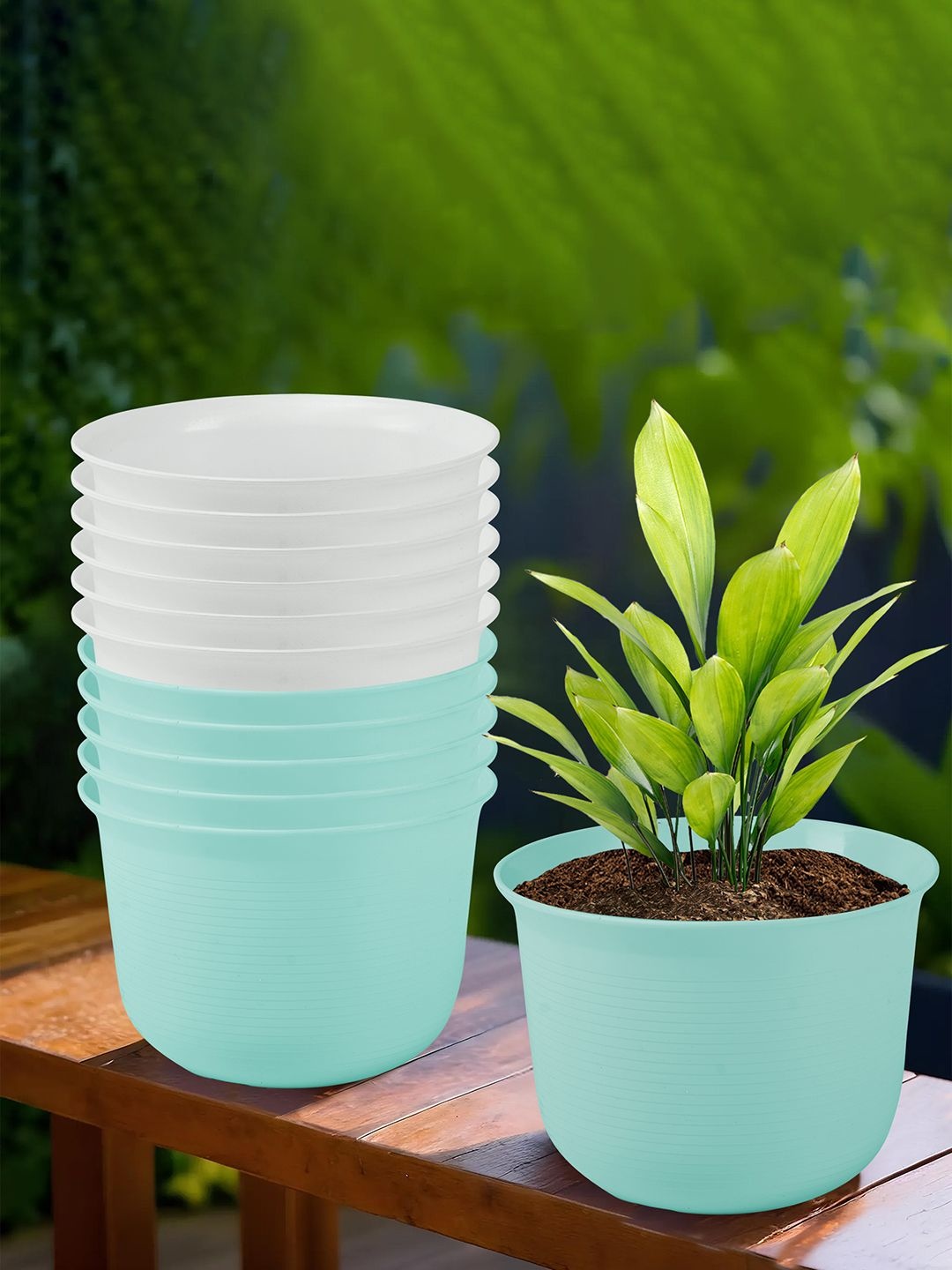 

Kuber Industries Blue & White 12 Pieces Planters With Plate